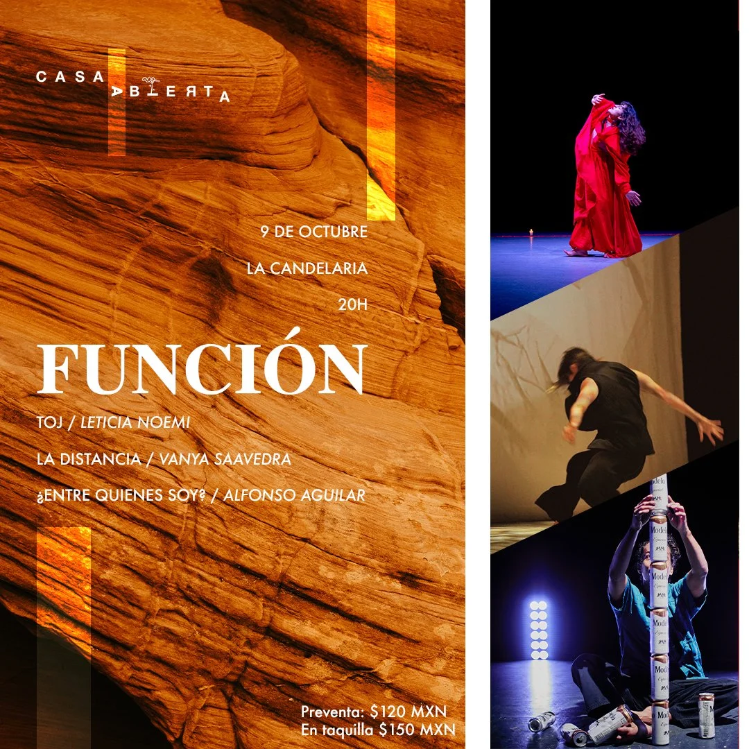 FUNCIÓN DE PERFORMANCE