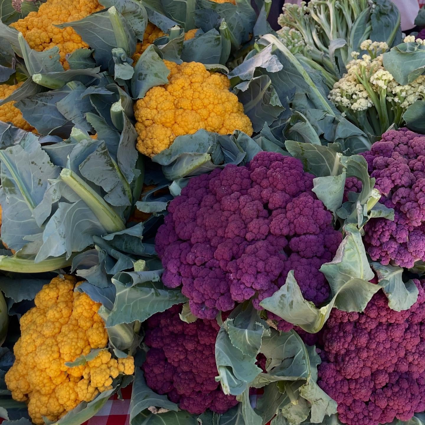 Farmers market color inspo @westoverfarmersmarket