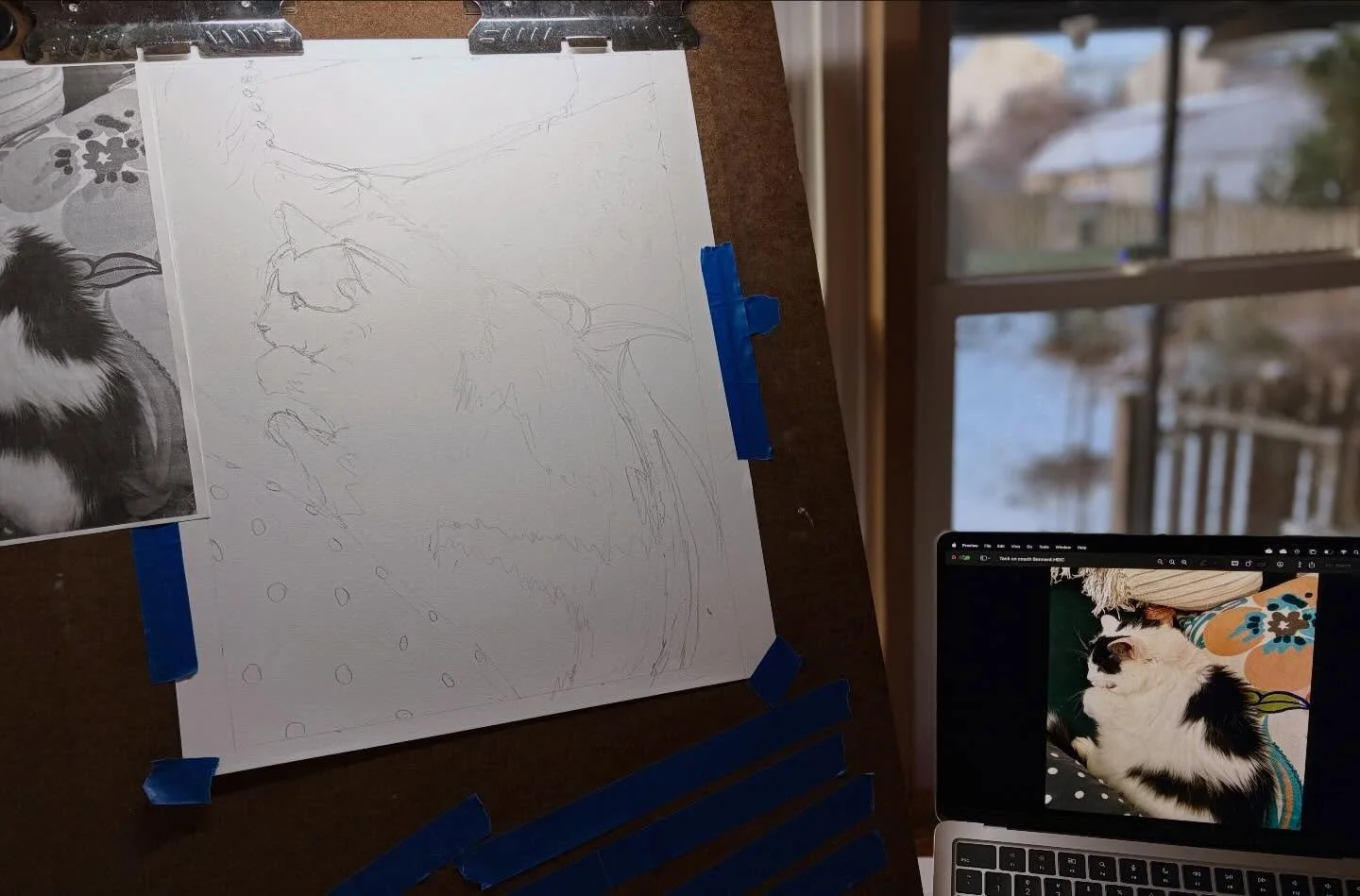 Starting a new portrait of the late, great Tank. #cats_of_instagram #winsorandnewton #sennelier #carandache