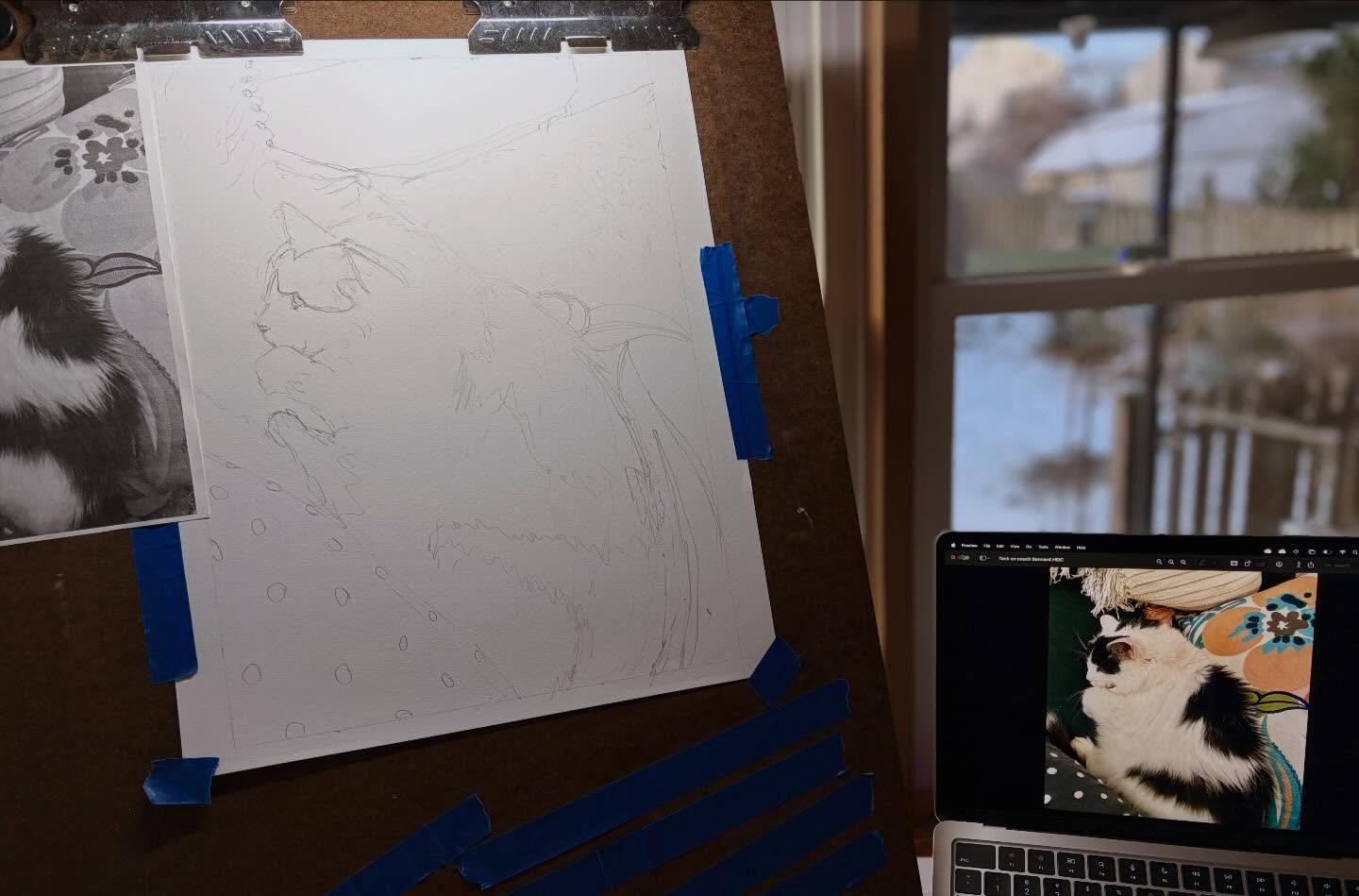 Starting a new portrait of the late, great Tank. #cats_of_instagram #winsorandnewton #sennelier #carandache