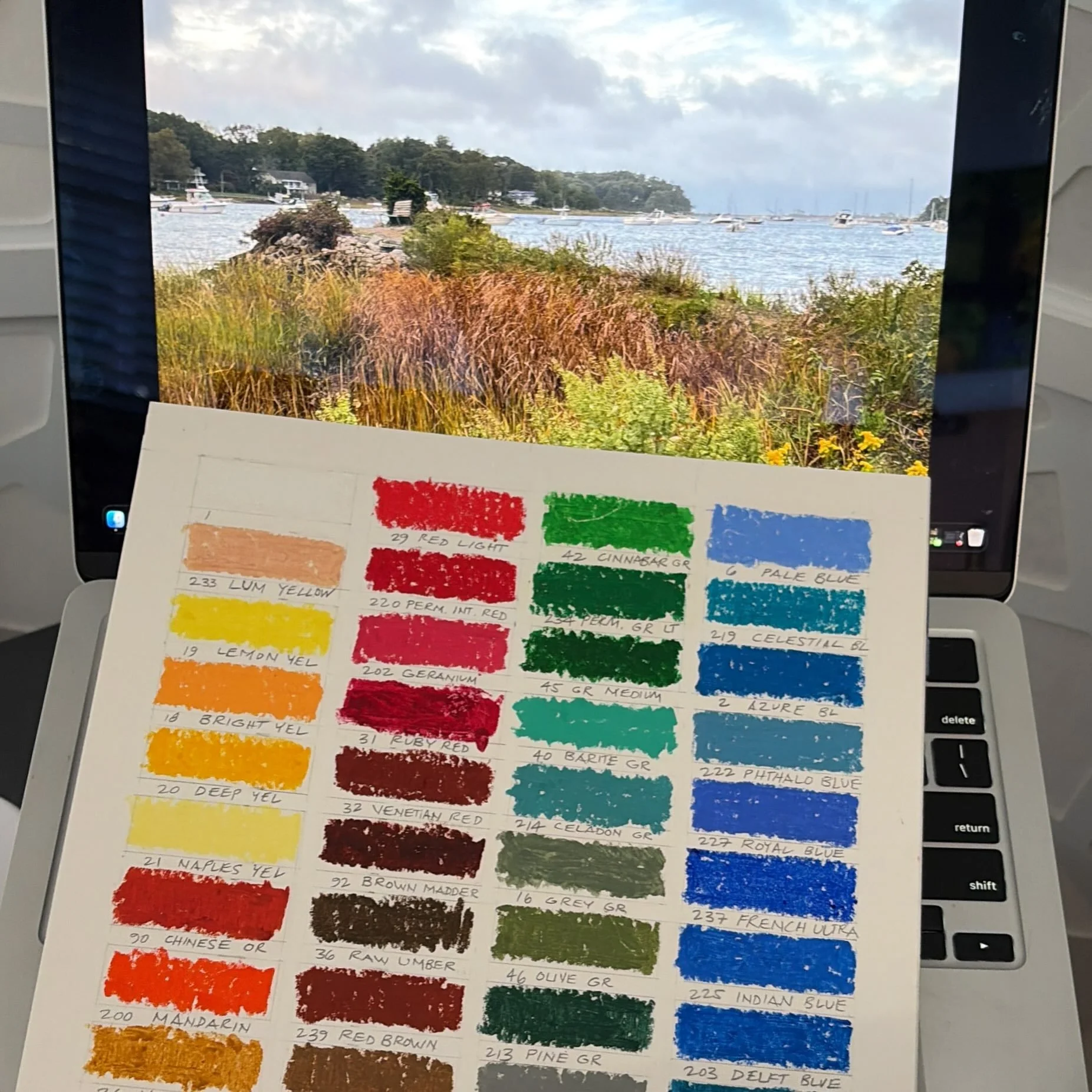 Using my @sennelier1887 palette helps me figure out where to go with an autumn image of East Setauket.