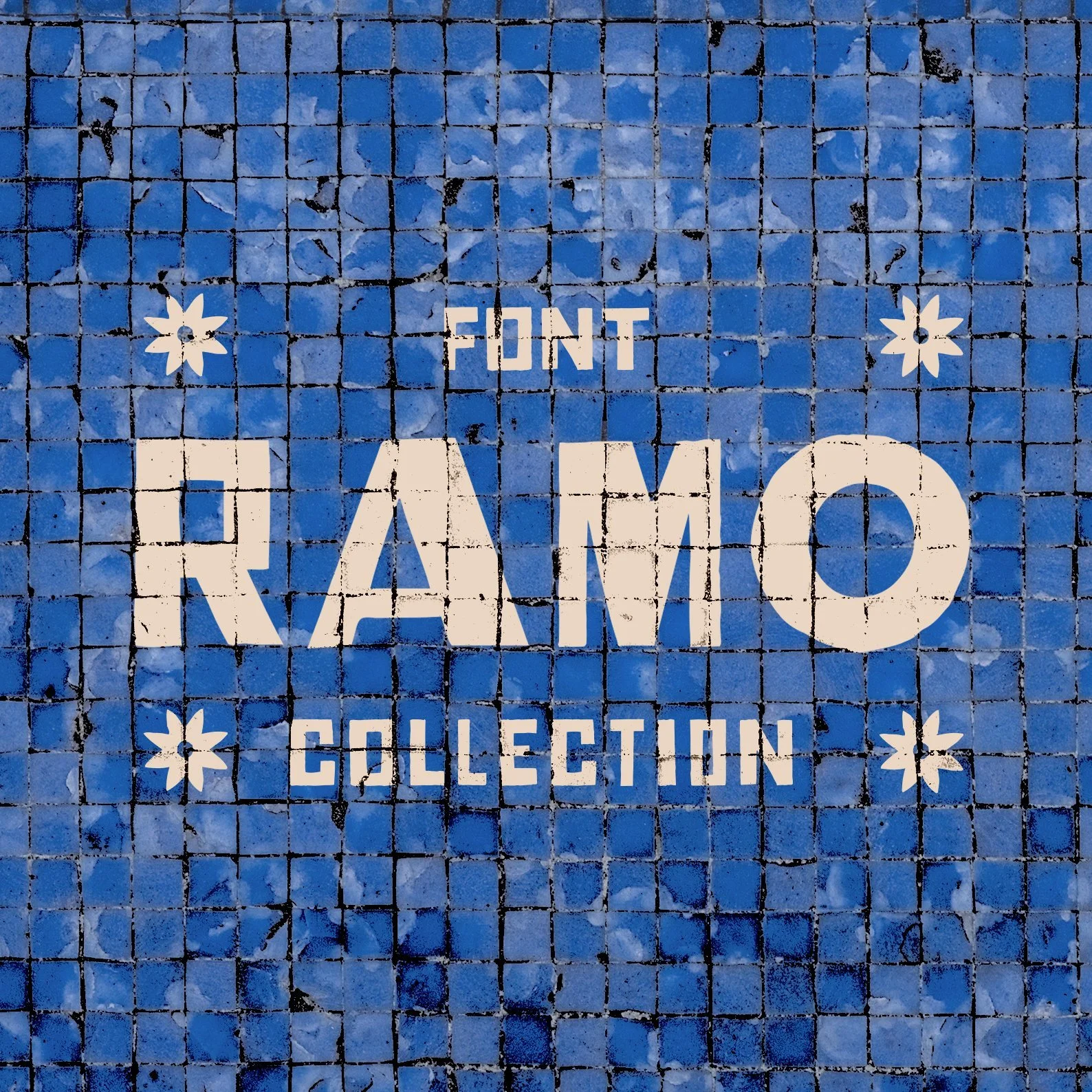 Ramo_BM_1.jpg