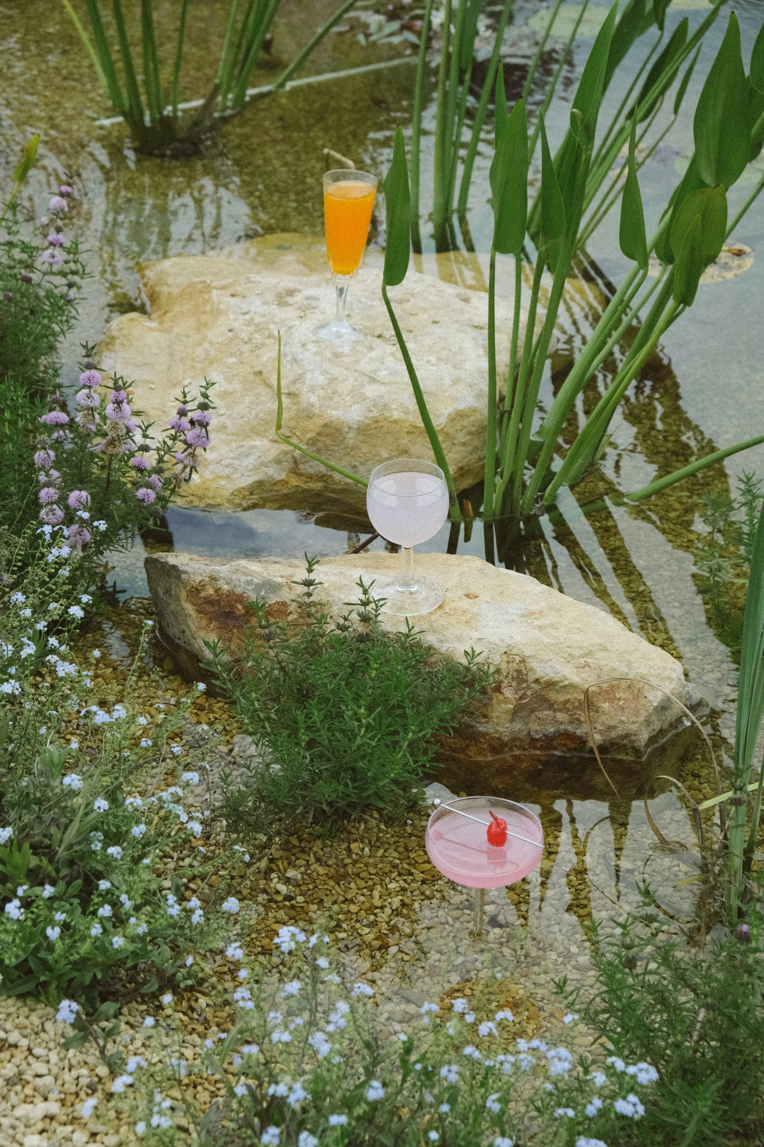 Three cocktails on rocks surrounded by plants and flowers in a pond, each with different colored drinks.