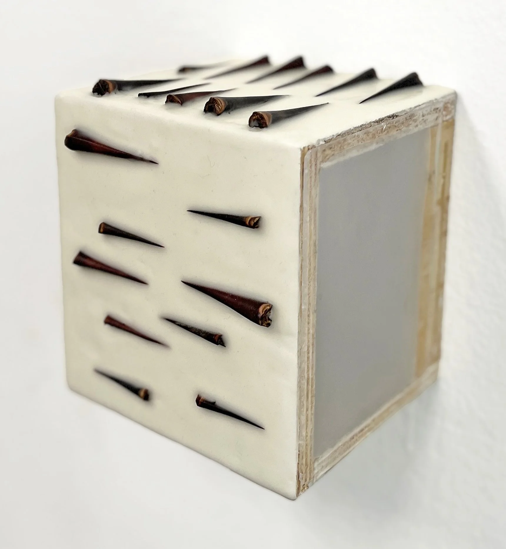 seen, unseen - 6x6x5 in, beeswax, agave spines, diary pages, plexiglass, 2026
