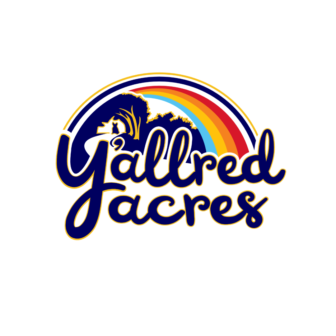 Dog training Columbia, SC Elmwood Park 5k