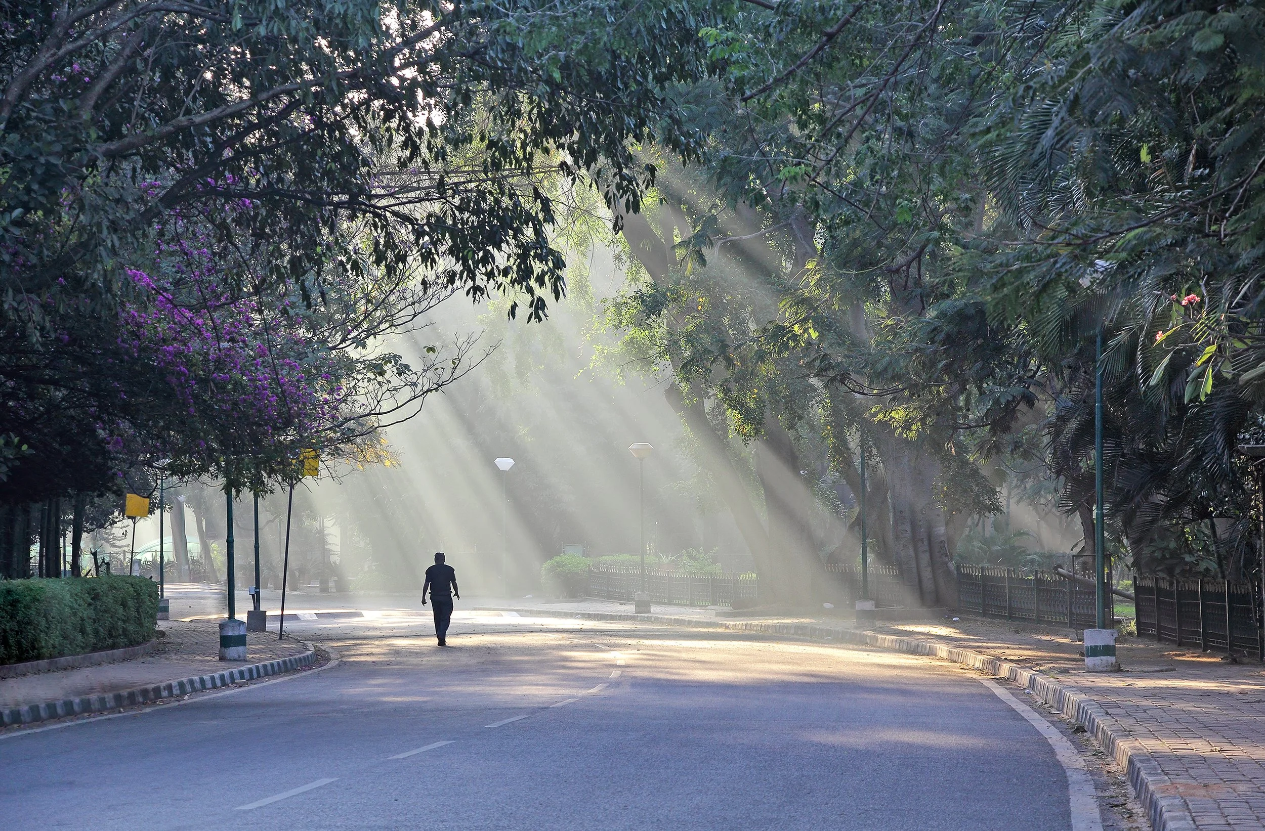 Testosterone, Lifestyle, and the Body’s Baseline