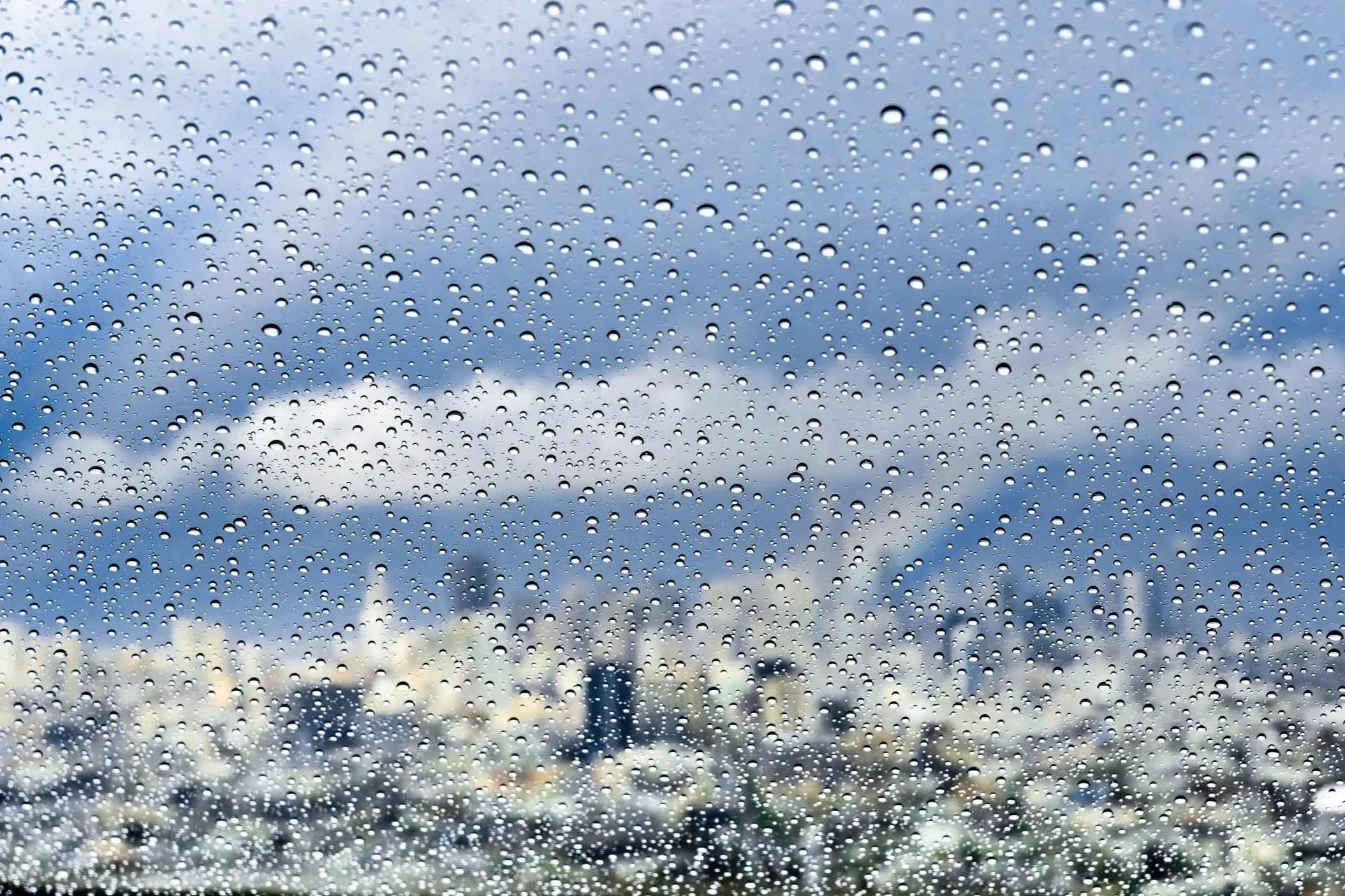 I Feel It in My Bones