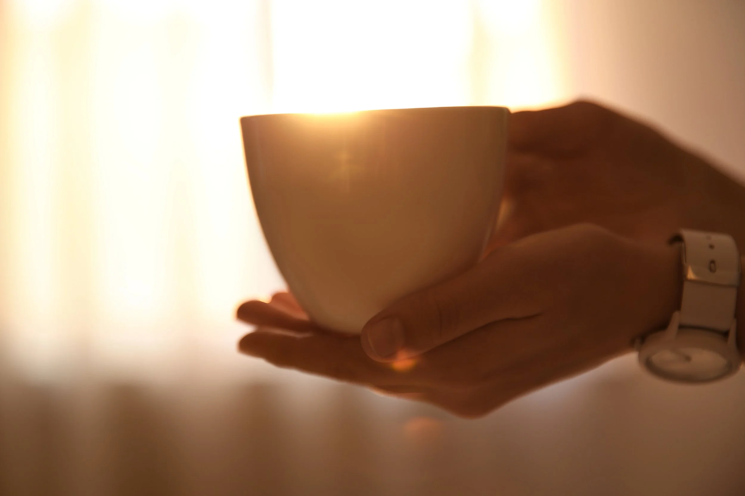 Person holding a white ceramic mug against warm, golden backlight.