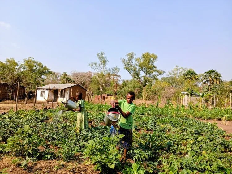 unnamed - 2026-01-06T144933.617.jpg