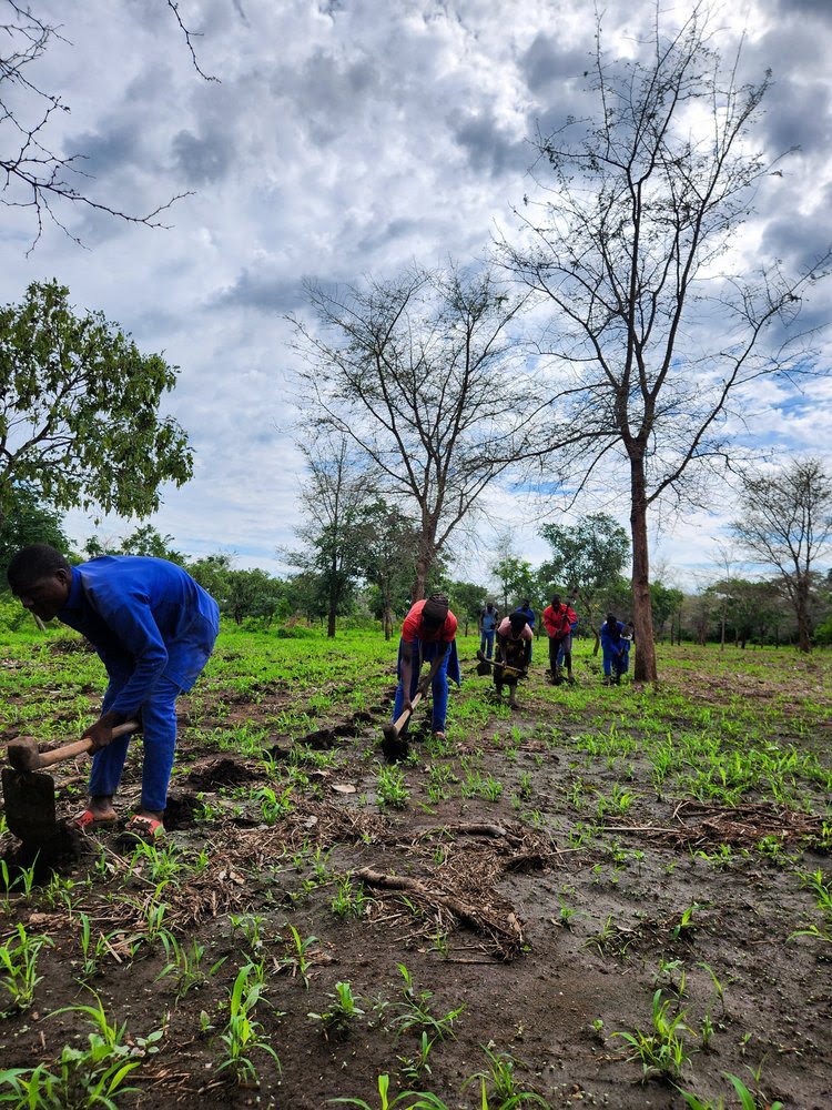 unnamed - 2026-01-13T101458.218.jpg