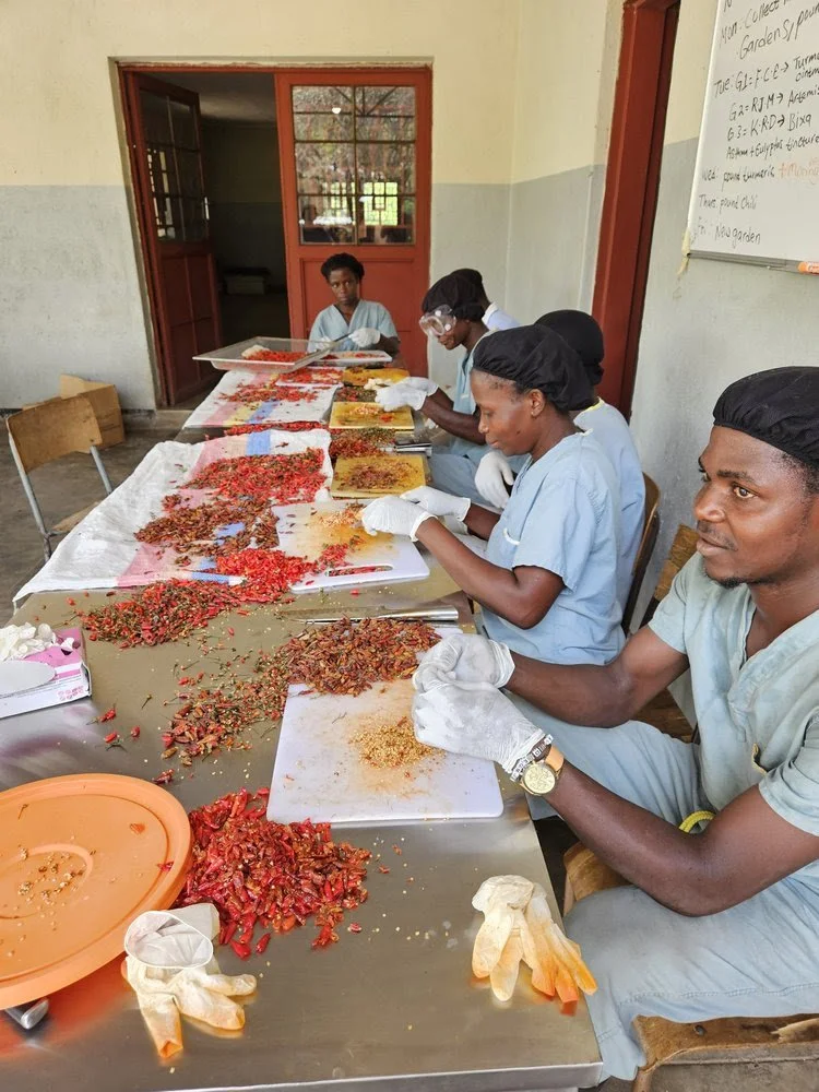 unnamed - 2026-01-13T101455.825.jpg