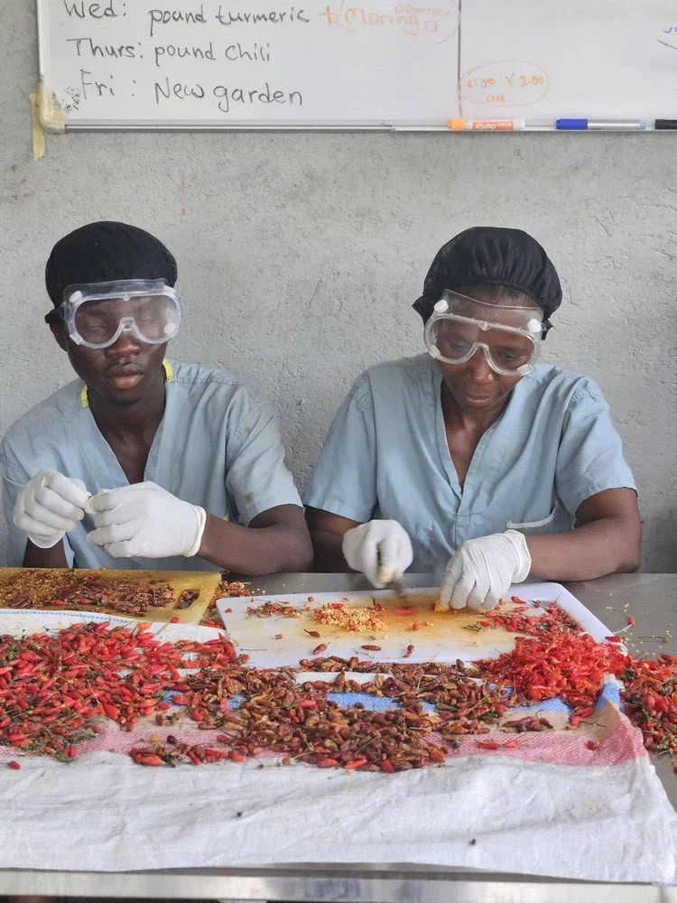 December Blessings: Love, Joy &amp; Community