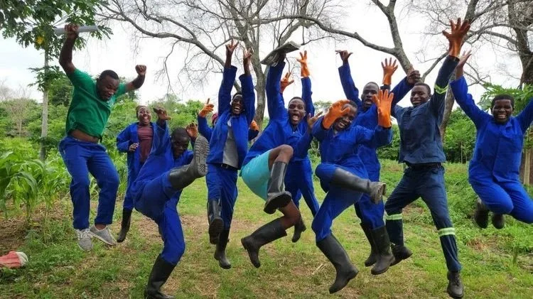 A New Year of Impact