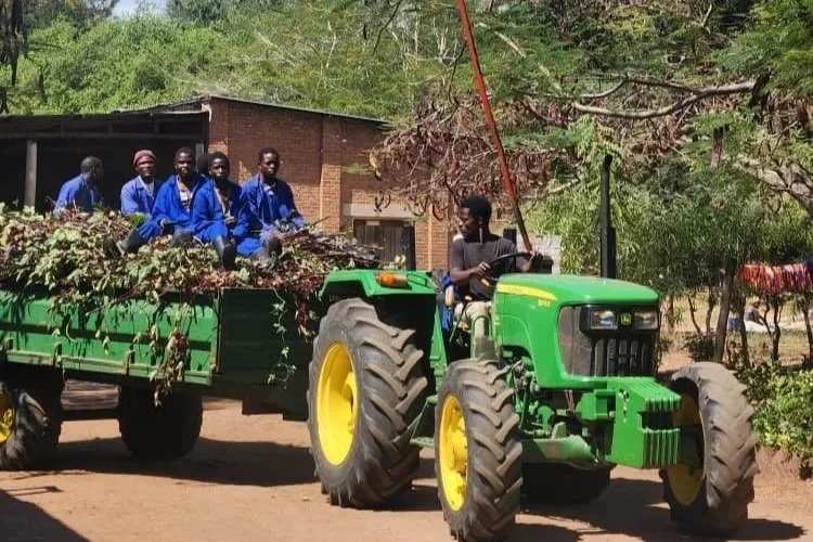 Growing Harvest, Health &amp; Hope