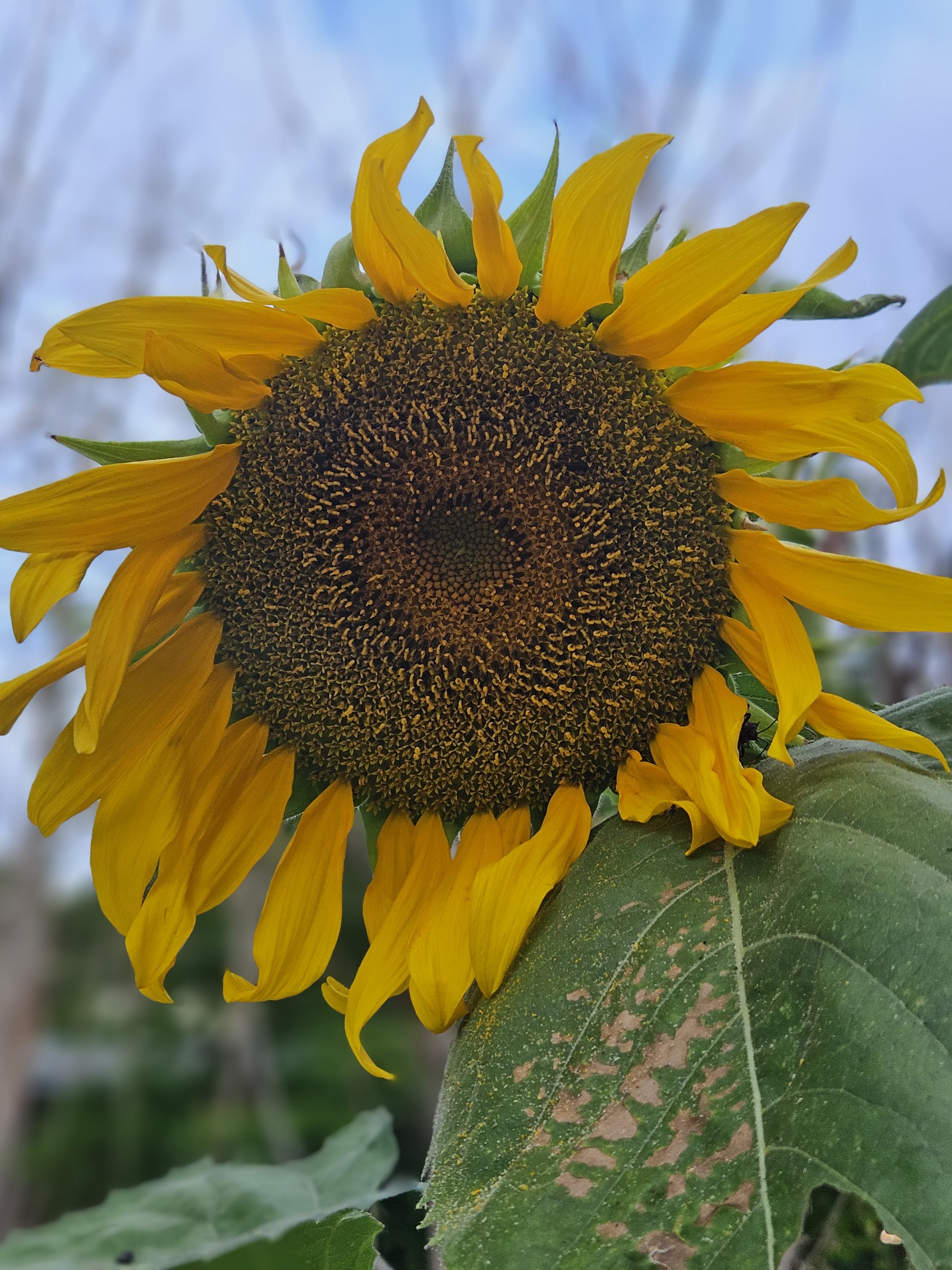 20260415_165054.jpg