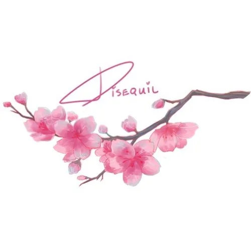 DISEQUIL logo