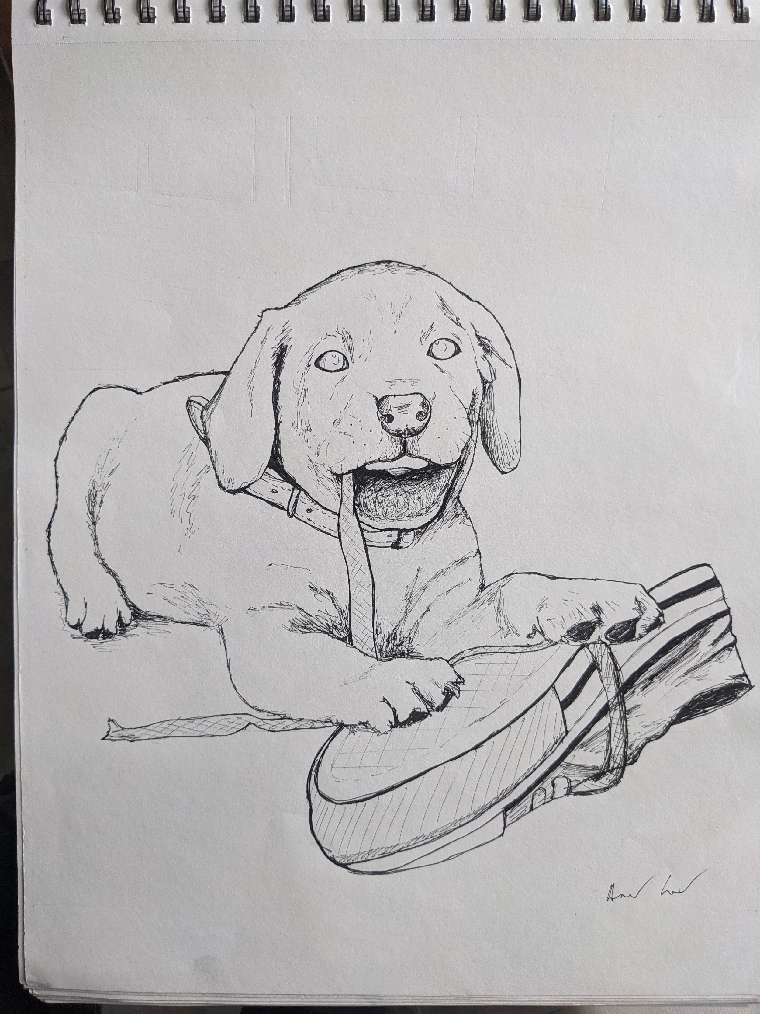'Chewy'. The teacher asked us to draw a show in any perspective we wished. I drew it being chewed on by my dog, from a picture of my dog when he was a puppy. This was also my first ever drawing using gridlines. Huge learning experience. Ink
