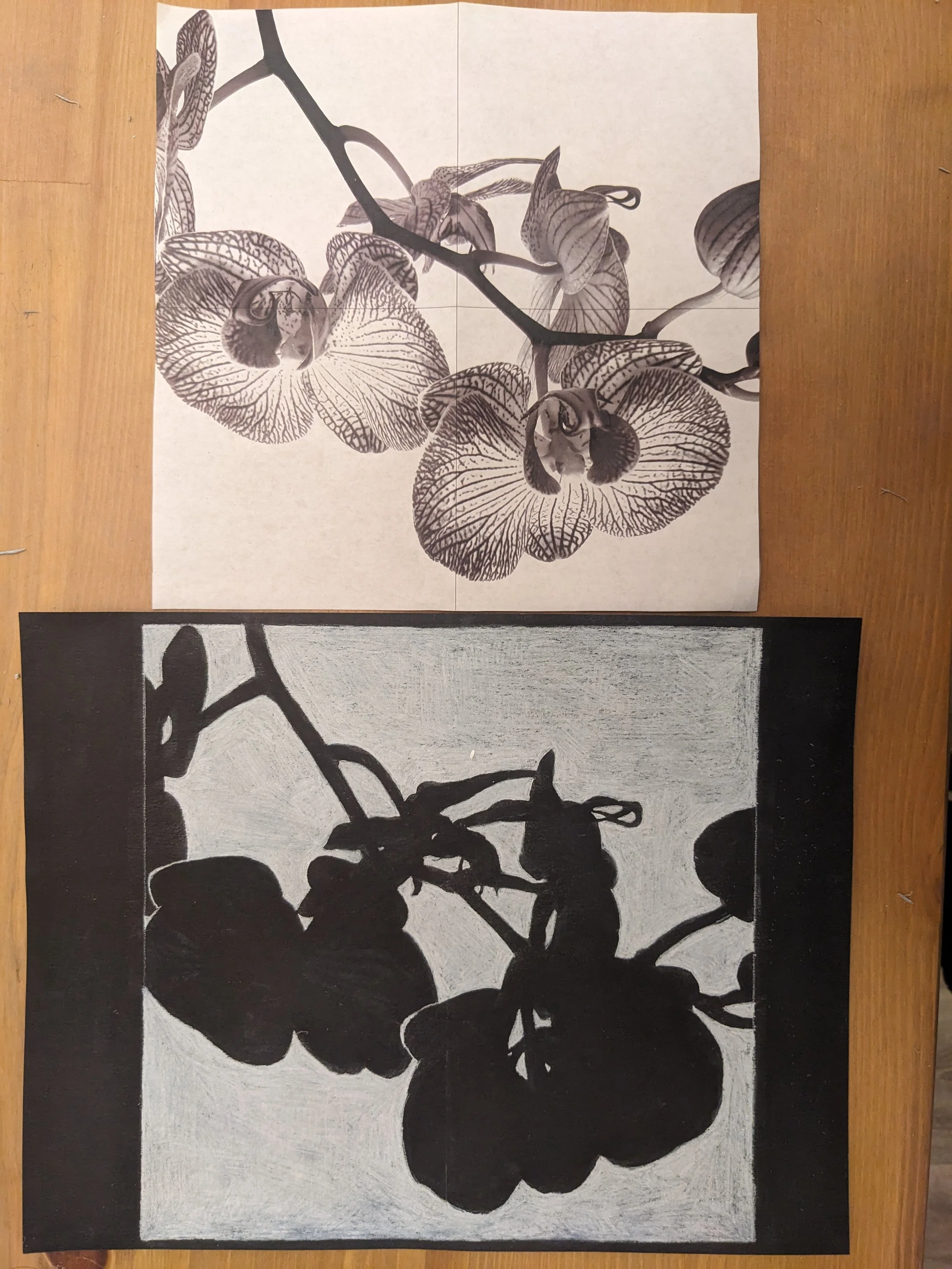 'Black orchids'. The power of focusing on negative space to achieve the ultimate perception of proportion and shape. White charcoal