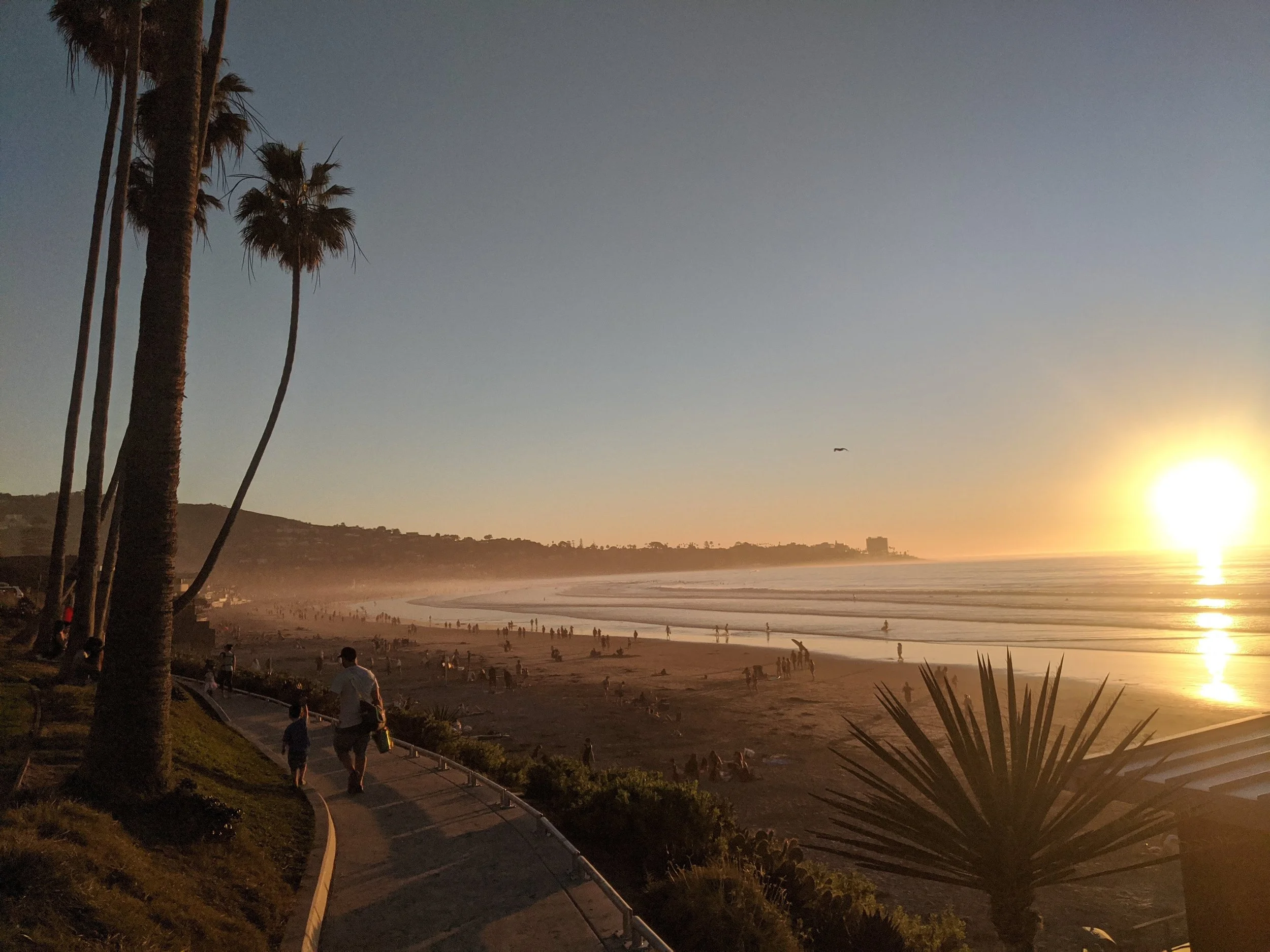 IMG_20210117_165240 (2).jpg