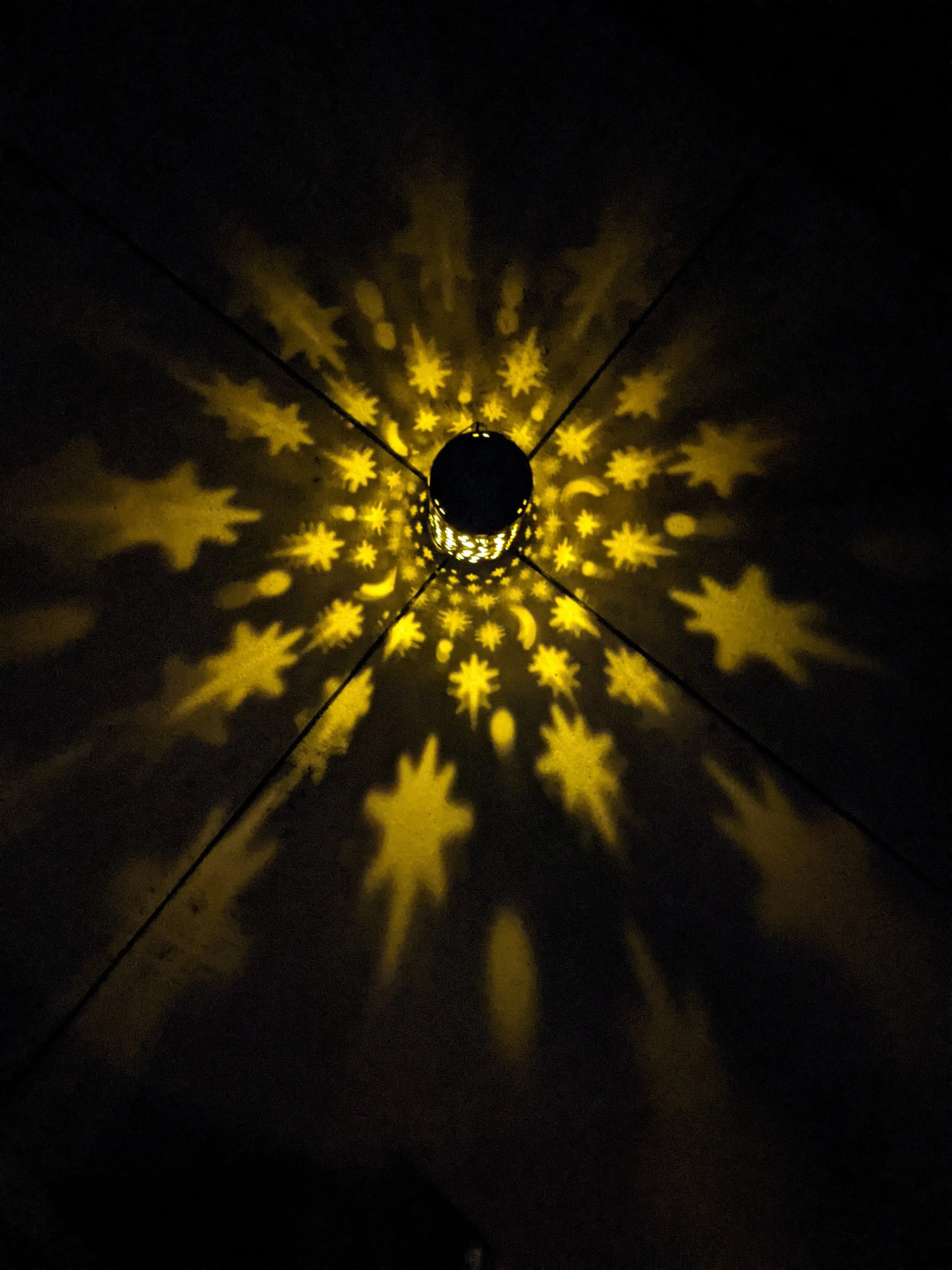 PXL_20211010_070340423 (1).jpg