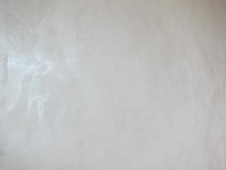 Venetian Plaster with Mica Powder, NJ