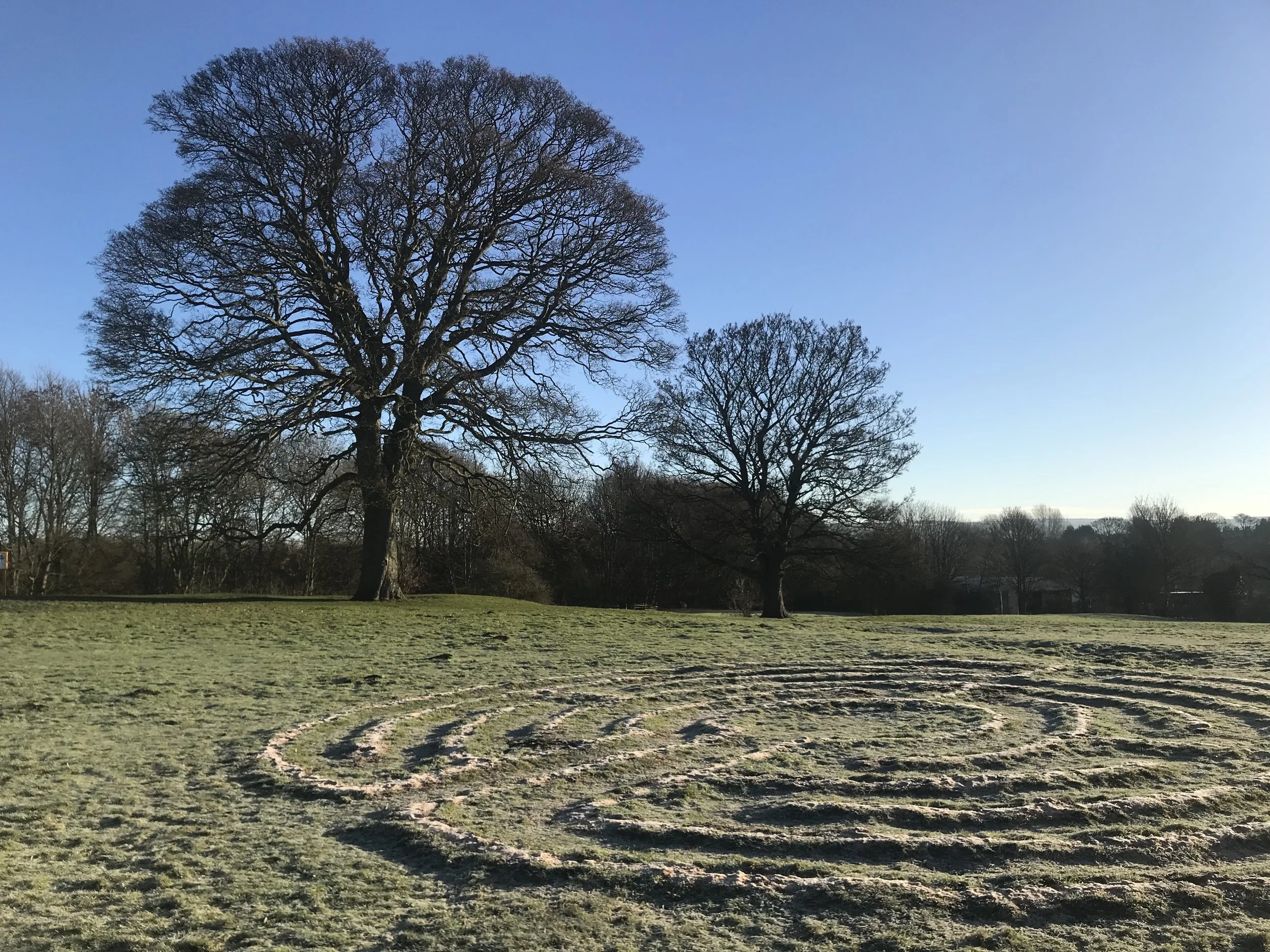 Dyspraxia and Disorientation: Navigating Embodied Safety