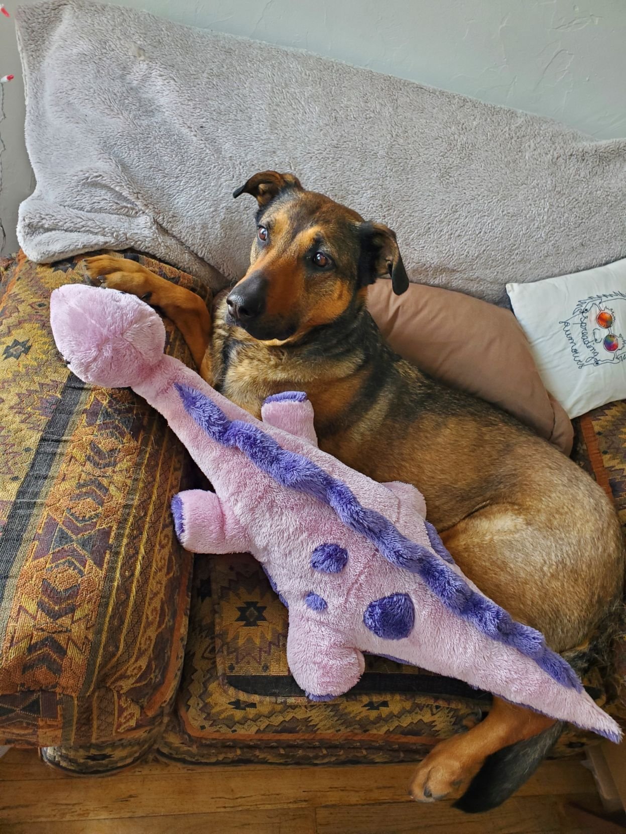 Cuddle brontosaurus