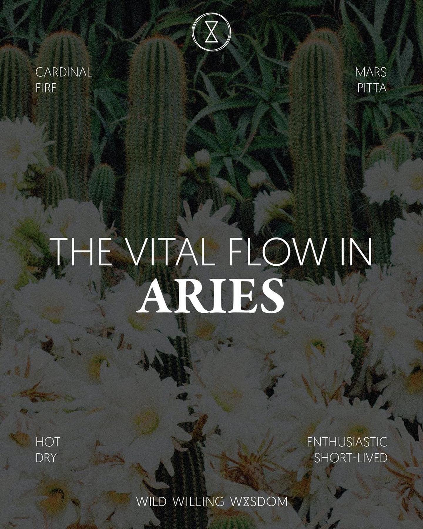 Yesterday we learned about the essence of Aries' Vital Force, but how does it 𝙛𝙡𝙤𝙬?

The Moon&rsquo;s placement shows us how your Chi will be distributed.

What is the 𝙦𝙪𝙖𝙡𝙞𝙩𝙮 of that flow?
Where does it 𝙨𝙝𝙤𝙬 𝙪𝙥 in the body?
How does