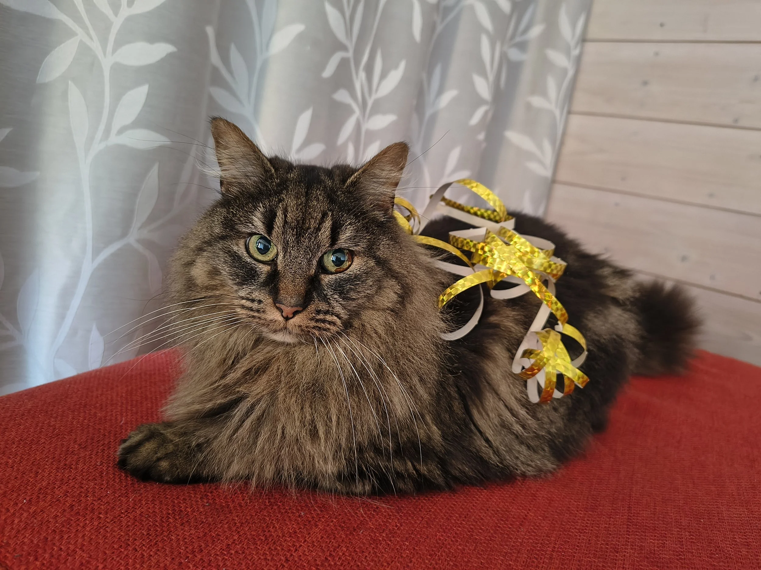 Hva er ditt nyttårsforsett?