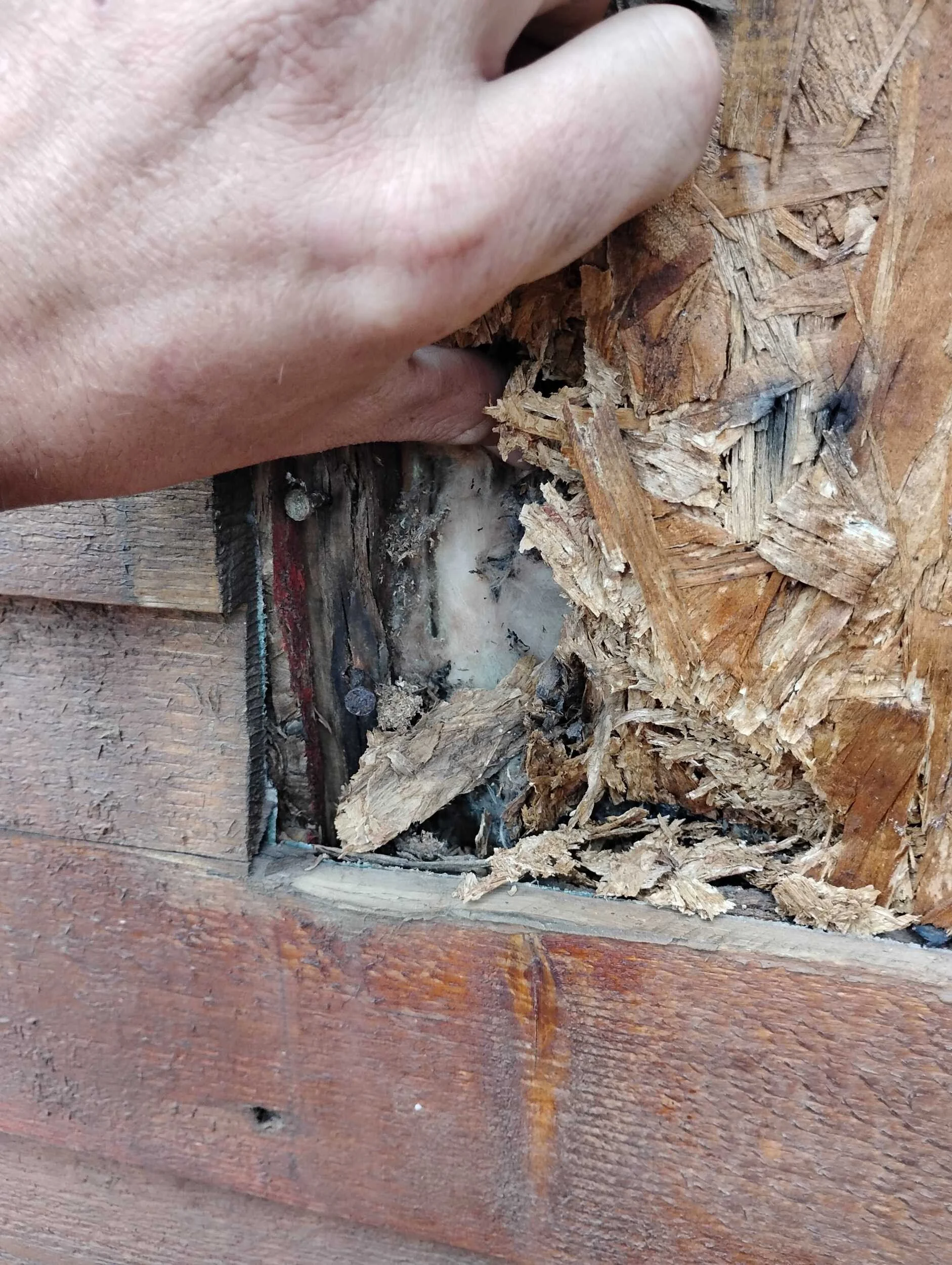 Rot behind stairs