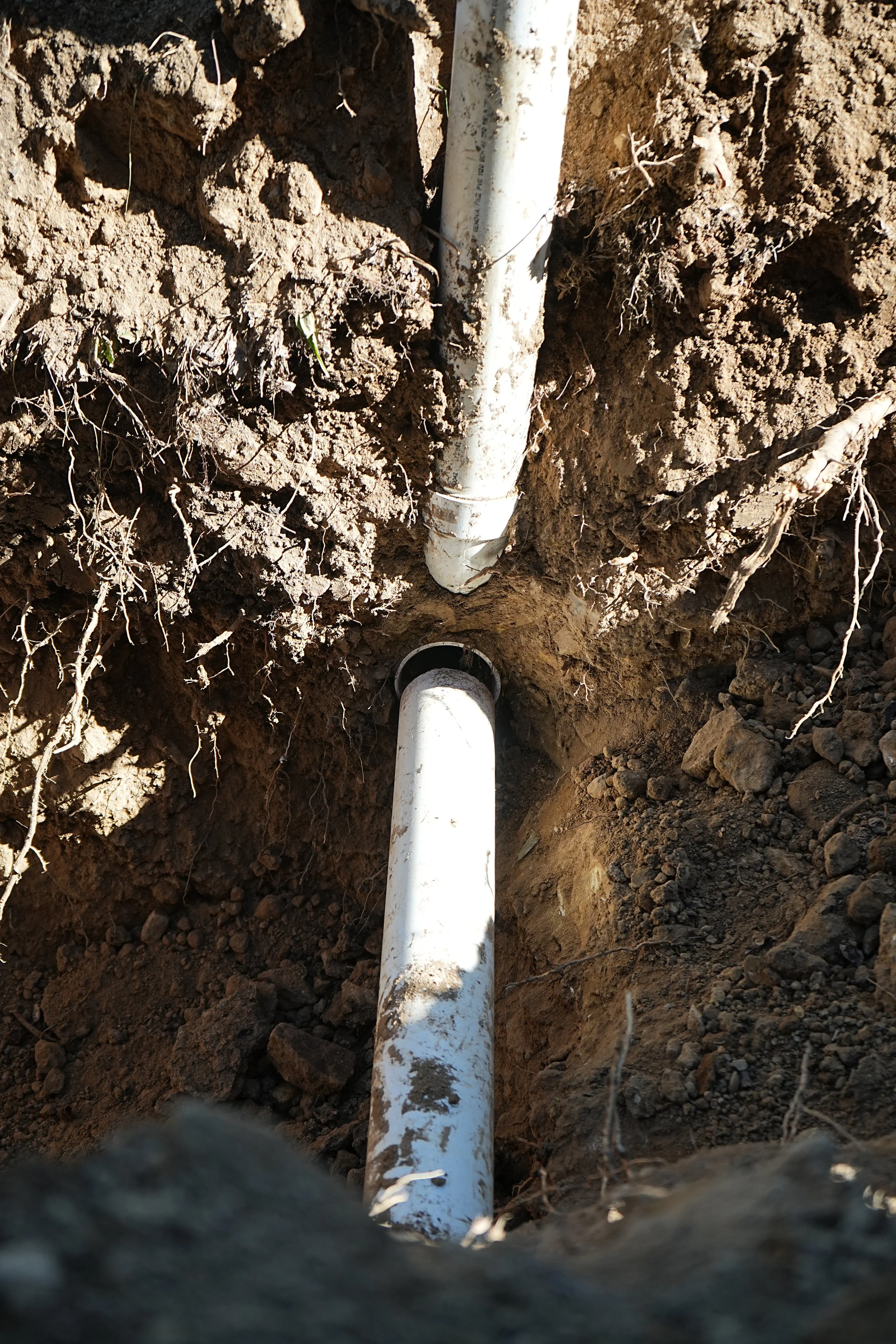 Septic lines not connected