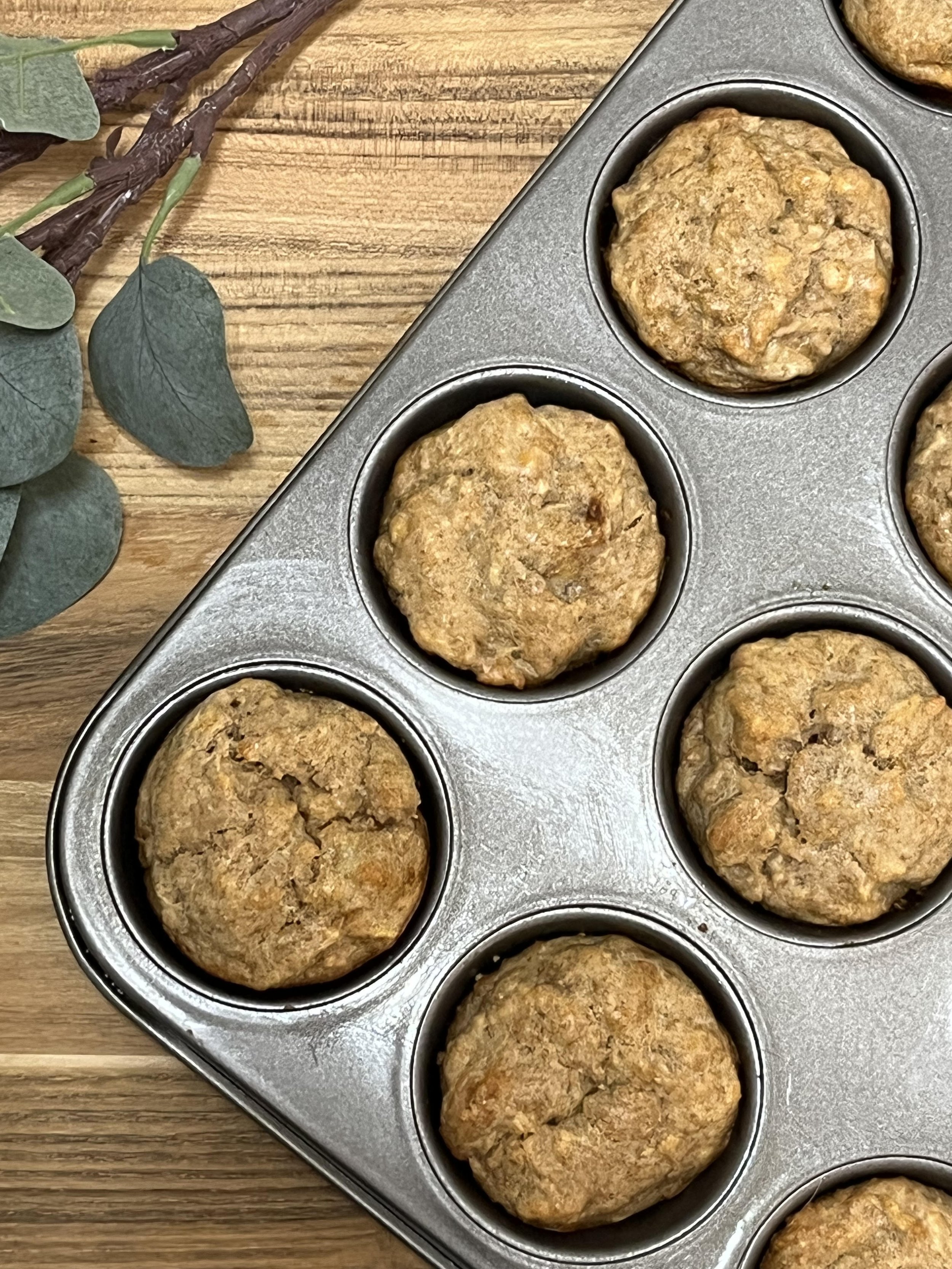 muffins 2.jpg