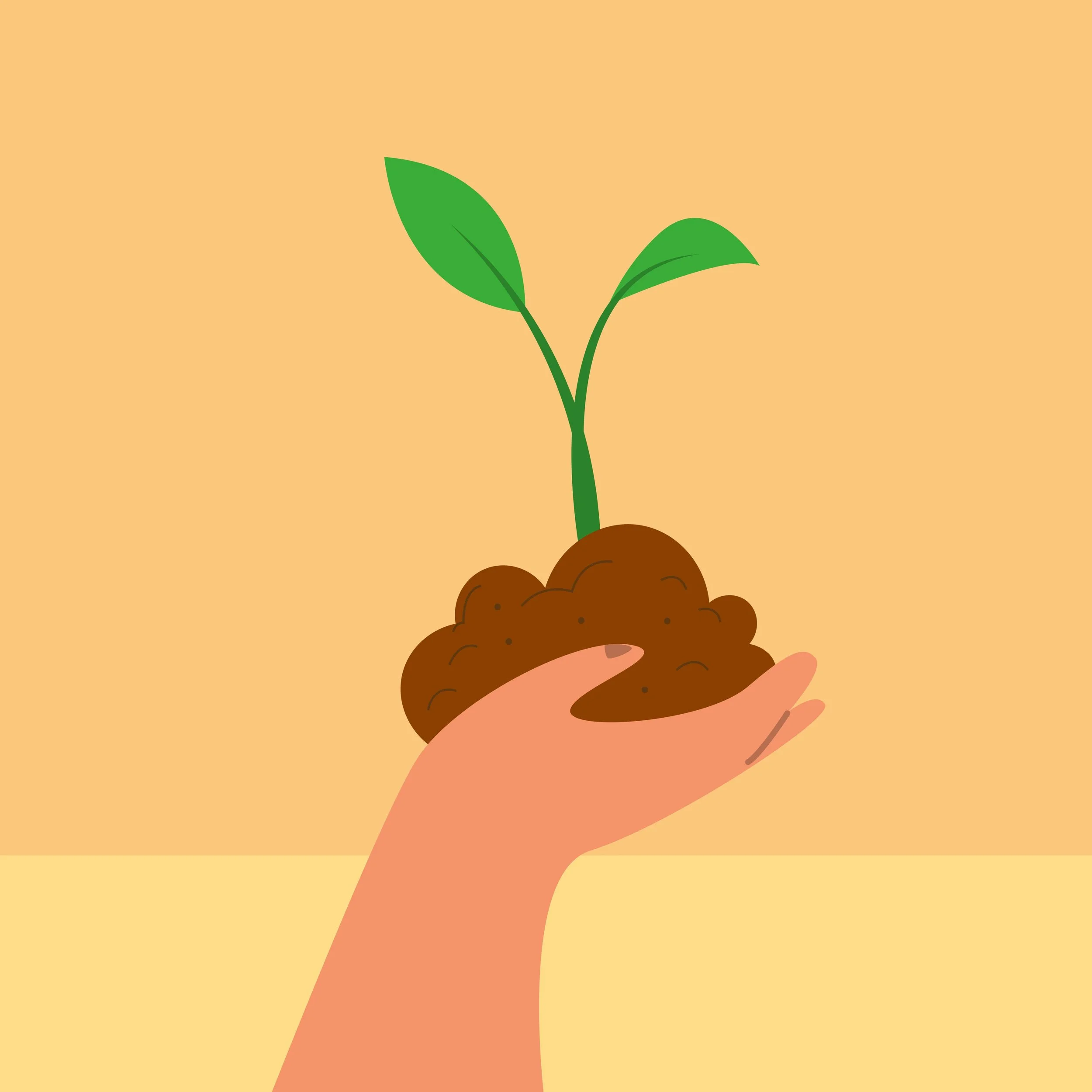 Source : Karacis Studio (2025). Une personne tenant une plante dans la main [Illustration]. Unsplash. https://unsplash.com/fr/illustrations/une-personne-tenant-une-plante-dans-la-main-RYPKIJdaxUg  