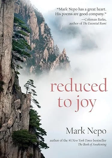 Reduced to Joy (Nepo)