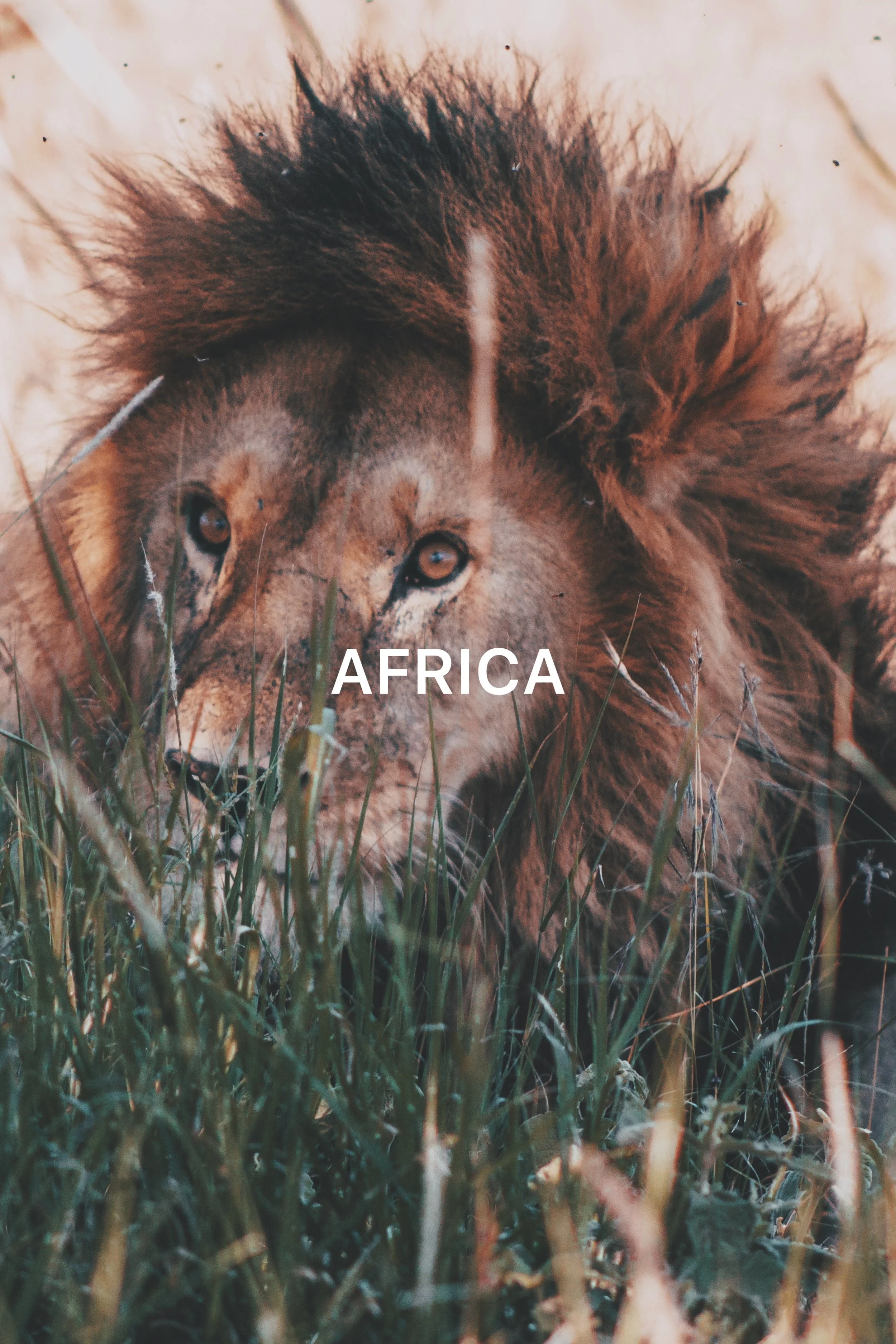 photo-output_4 2.JPG