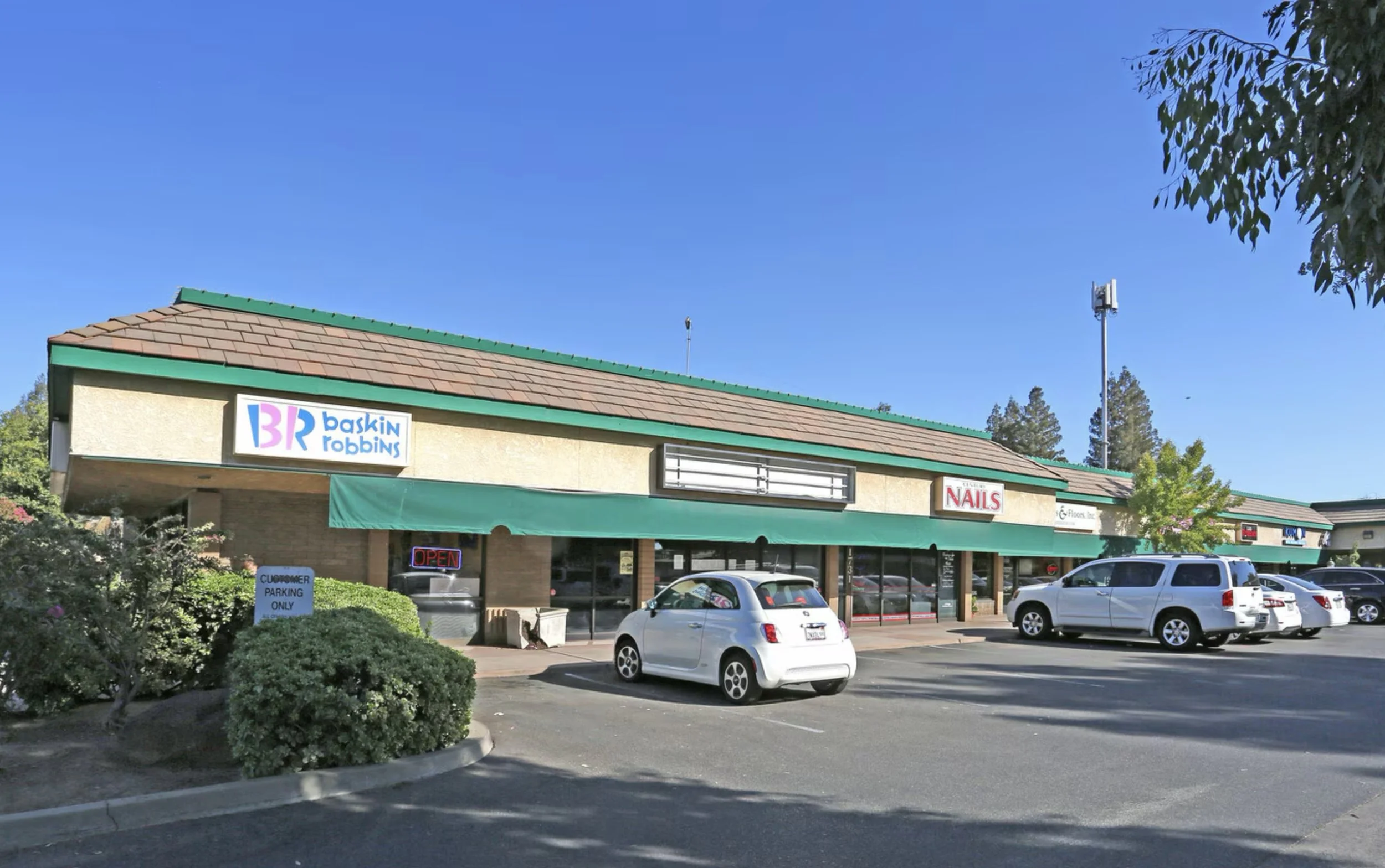 figtree-cardshop.jpg