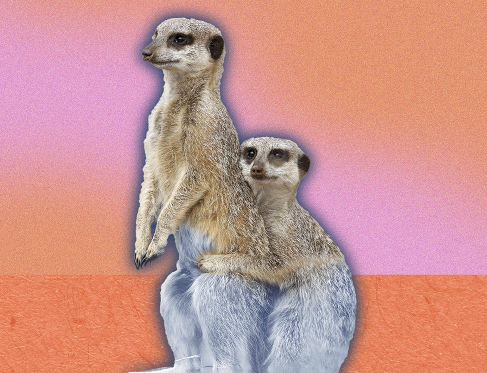 Screenshot 2023-10-02 at 11.13.19 AM.png