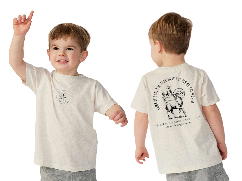 3321 Toddler Tee.png