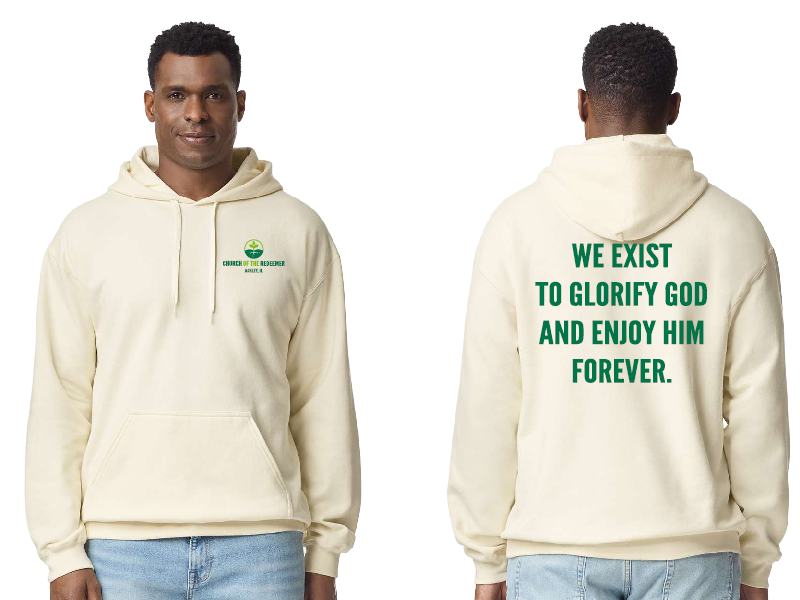 hoodie2.png