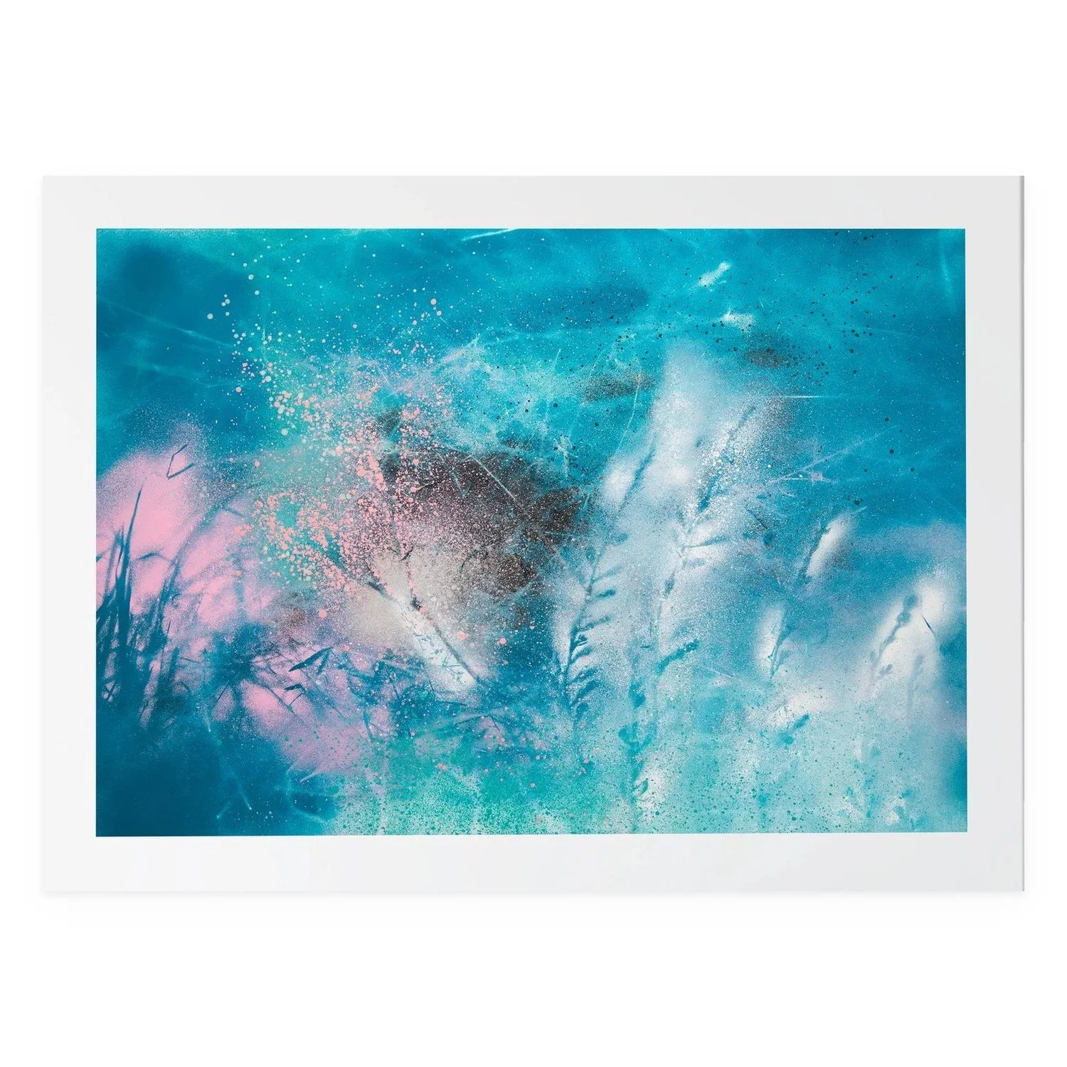 Astroflora by De-Anne Strange, 2025, spray paint and natural elements on paper