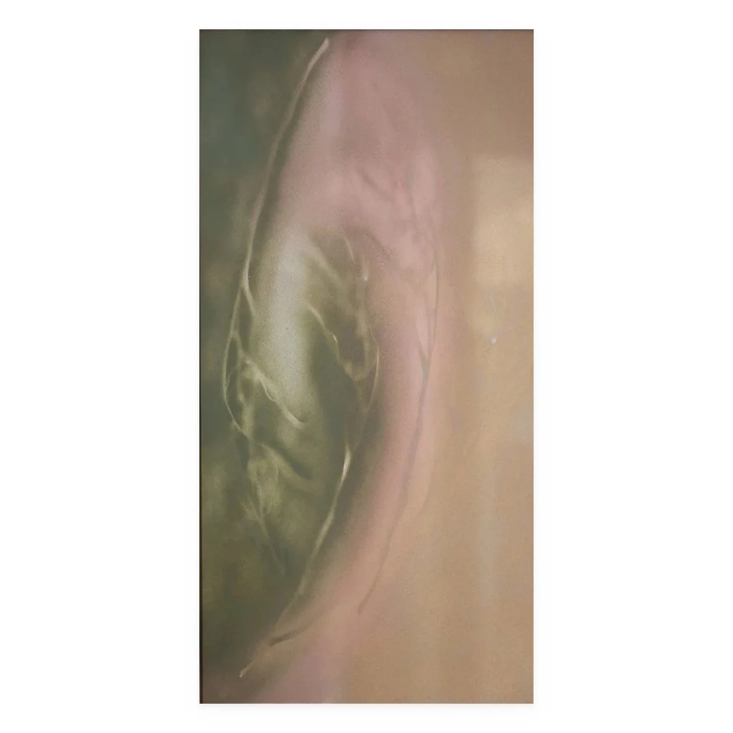 Aurum Earth by De-Anne Strange, 2025, spray paint and natural elements on paper