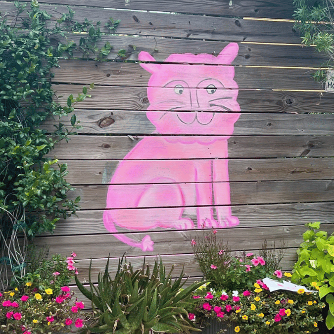 Pink Lion Birthday Party Chalk