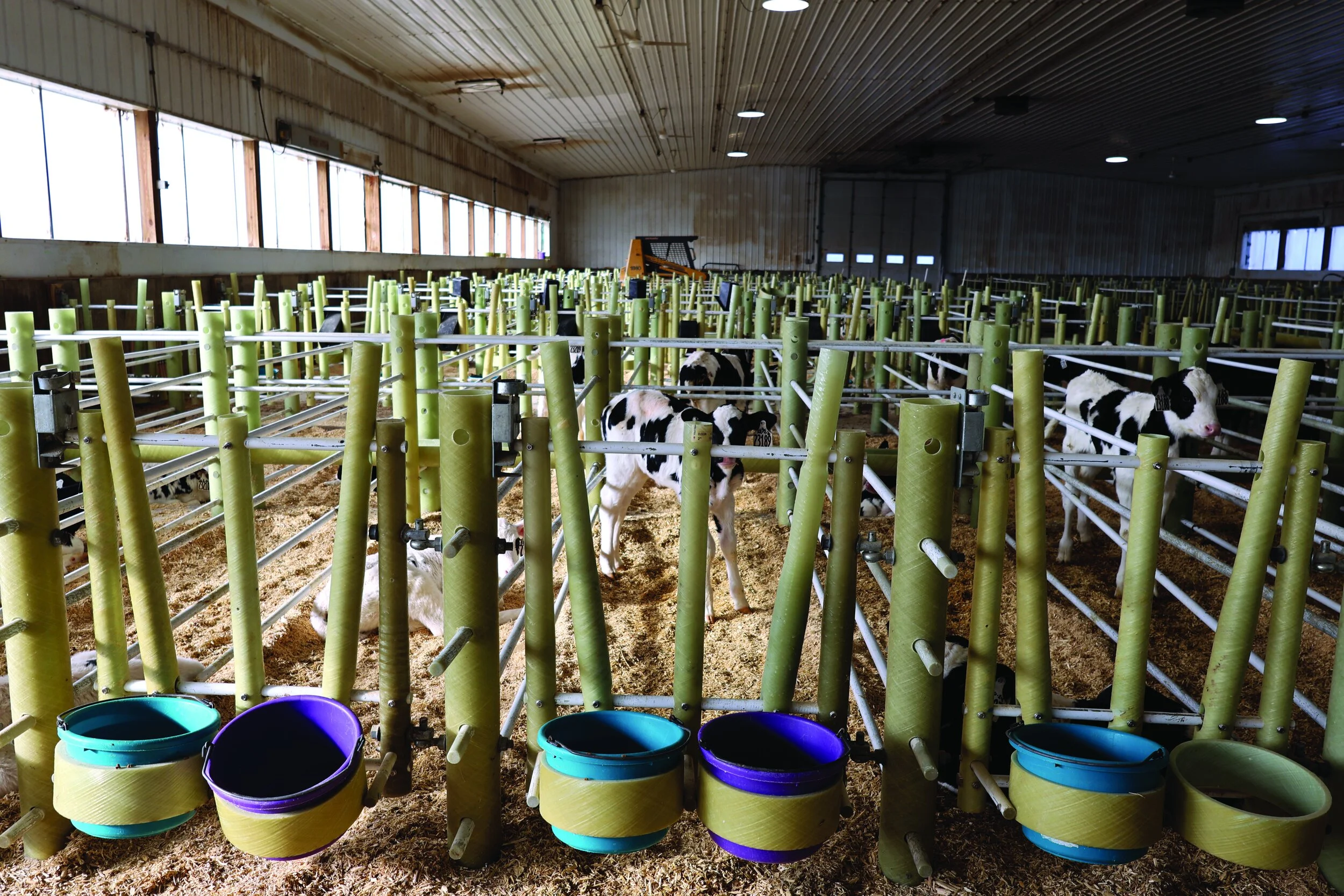   Fiberglass rods separate the individual pens for younger calves. When the calves are older, the rods can be reconfigured to make group pens.   