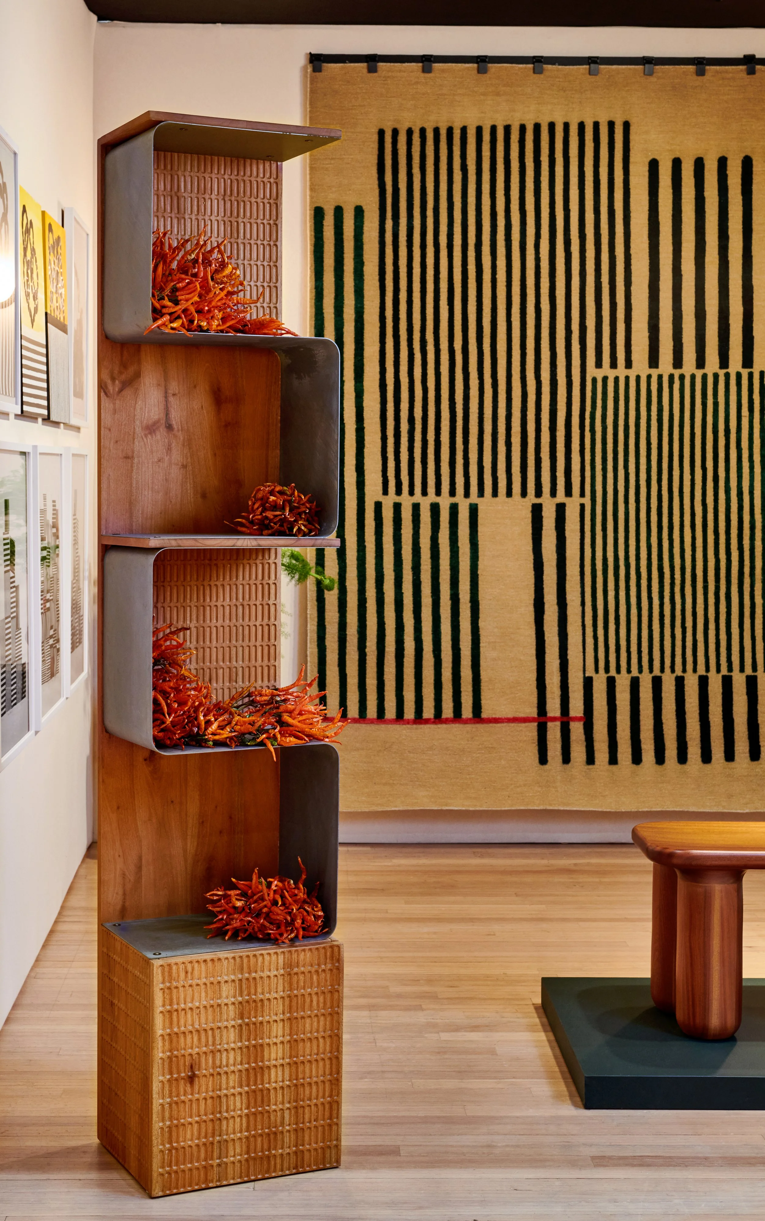 BFiD SPOTLIGHT III_Nifemi Marcus-Bello 1_credit Kelly Marshall.jpg