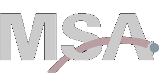 msa-clearn.png