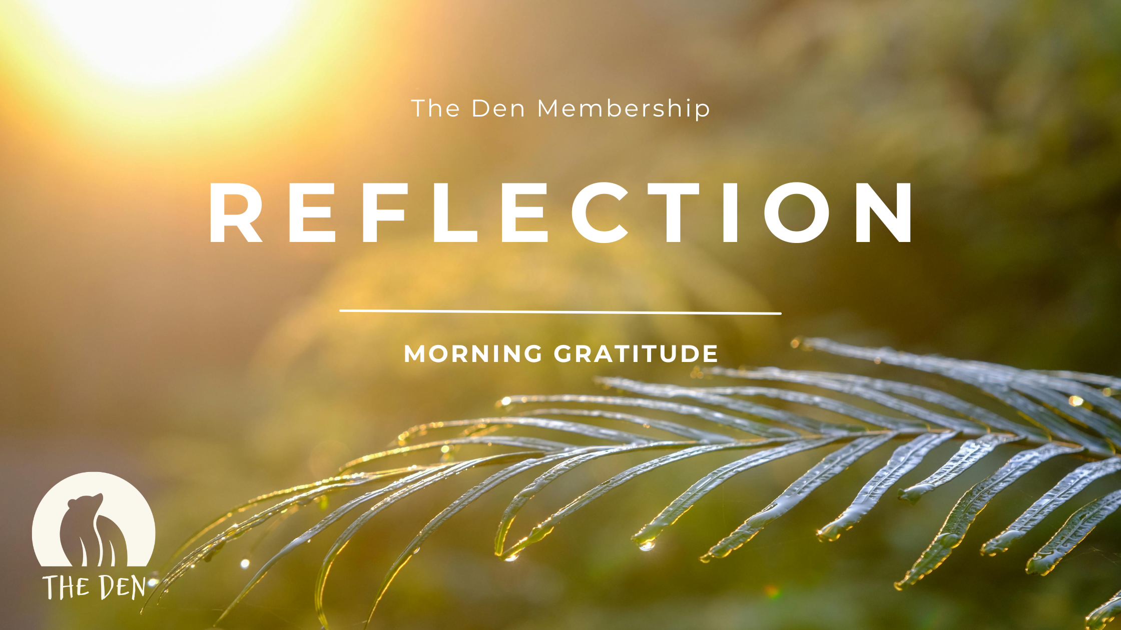 Morning Gratitude