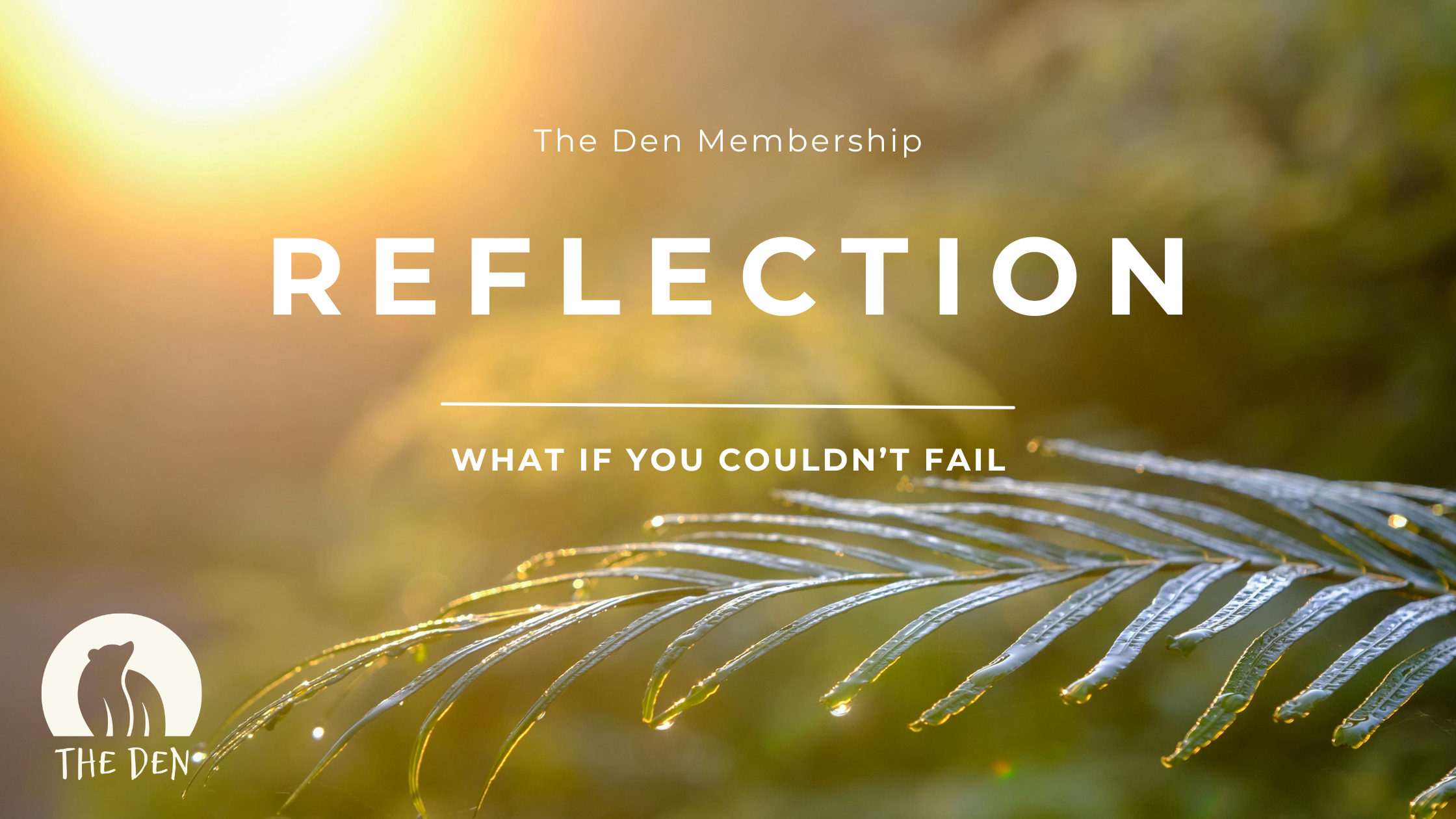 What If You Couldn’t Fail