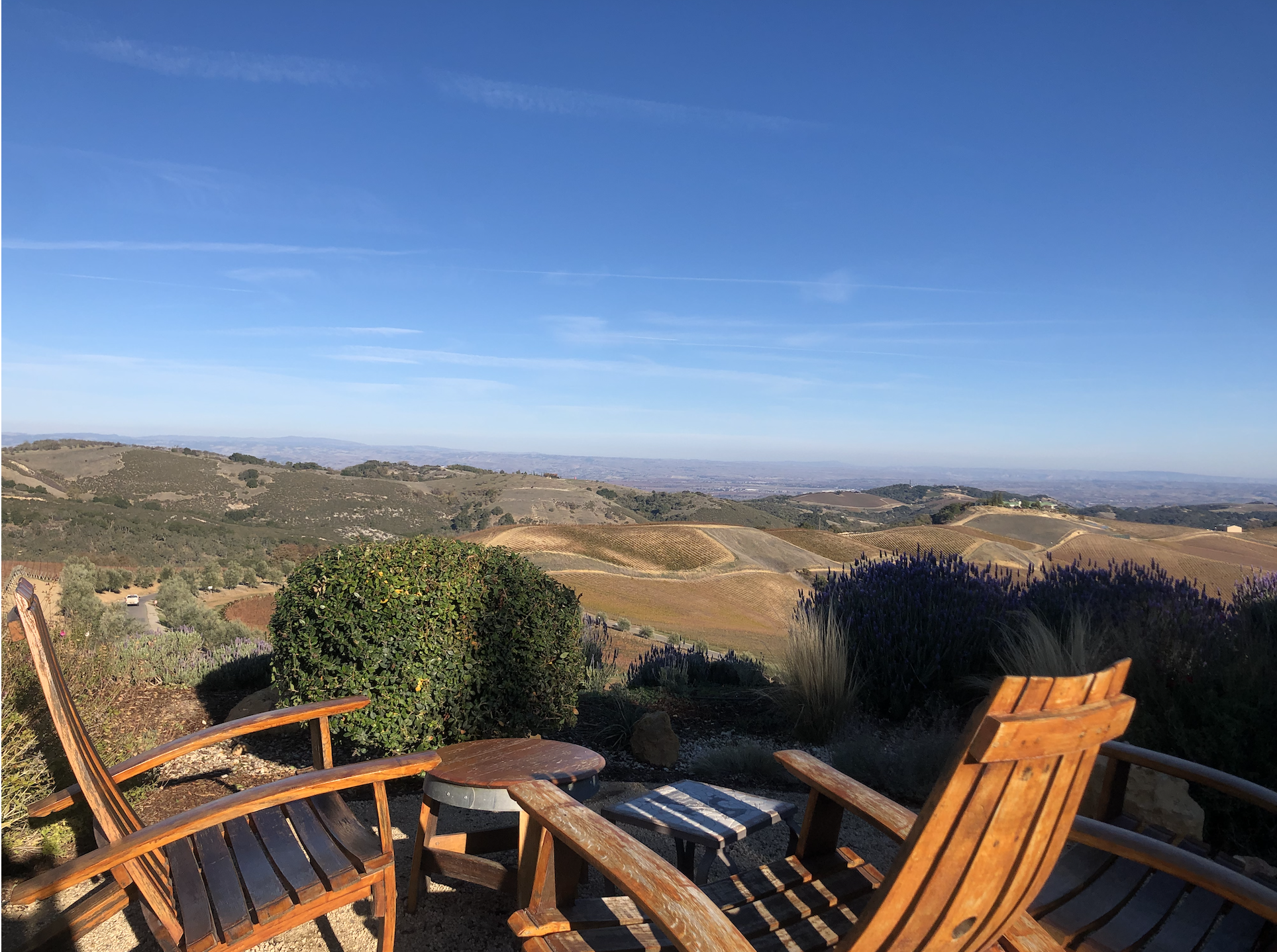 Screen Shot 2023-06-14 at 10.13.25 PM.png