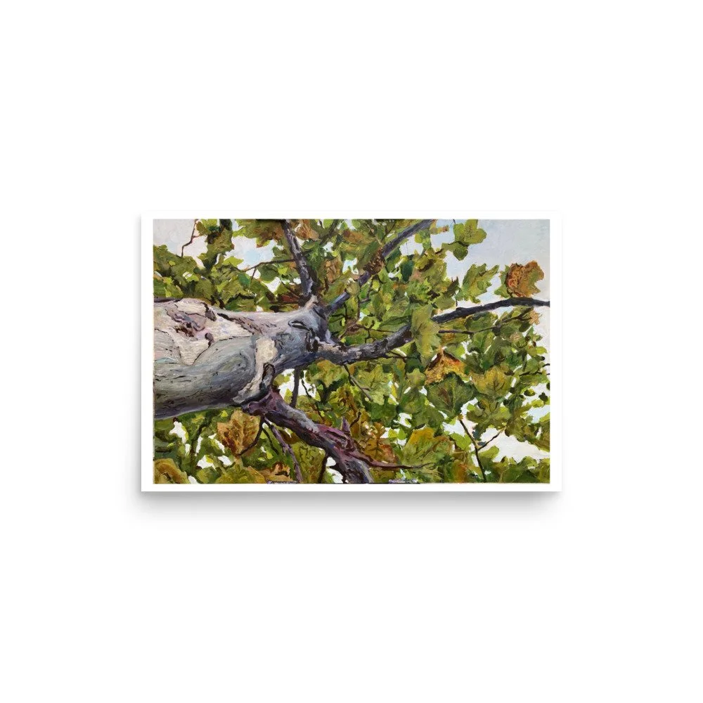 enhanced-matte-paper-poster-(in)-12x18-front-65f9019c25f3b.jpg