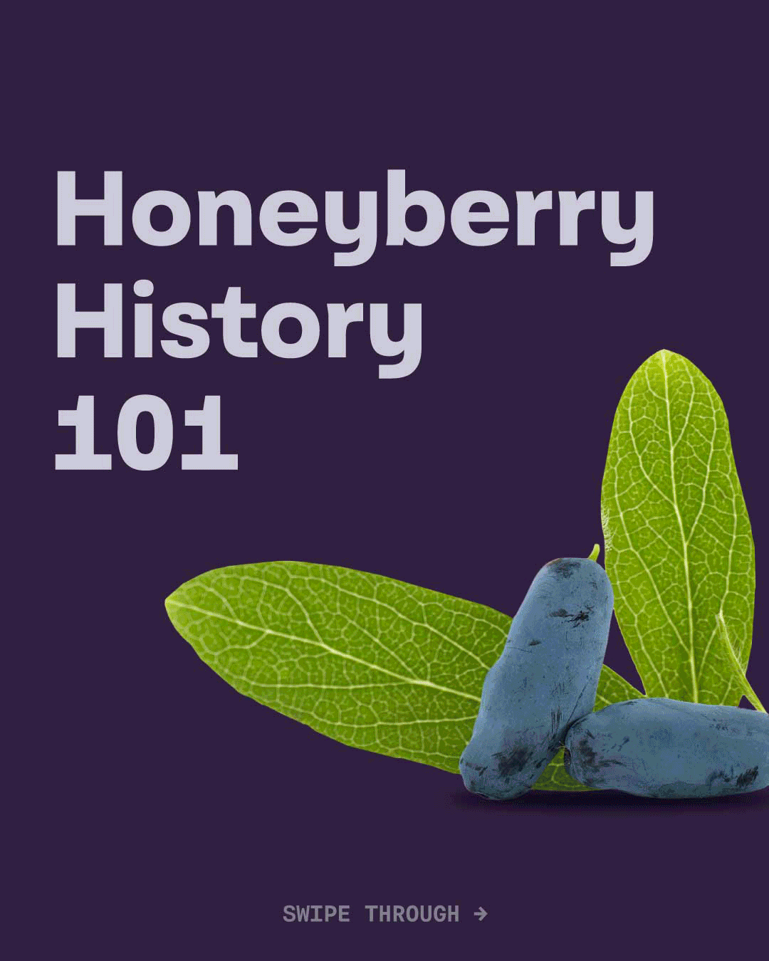 BSHB_Post_HBHistory.gif
